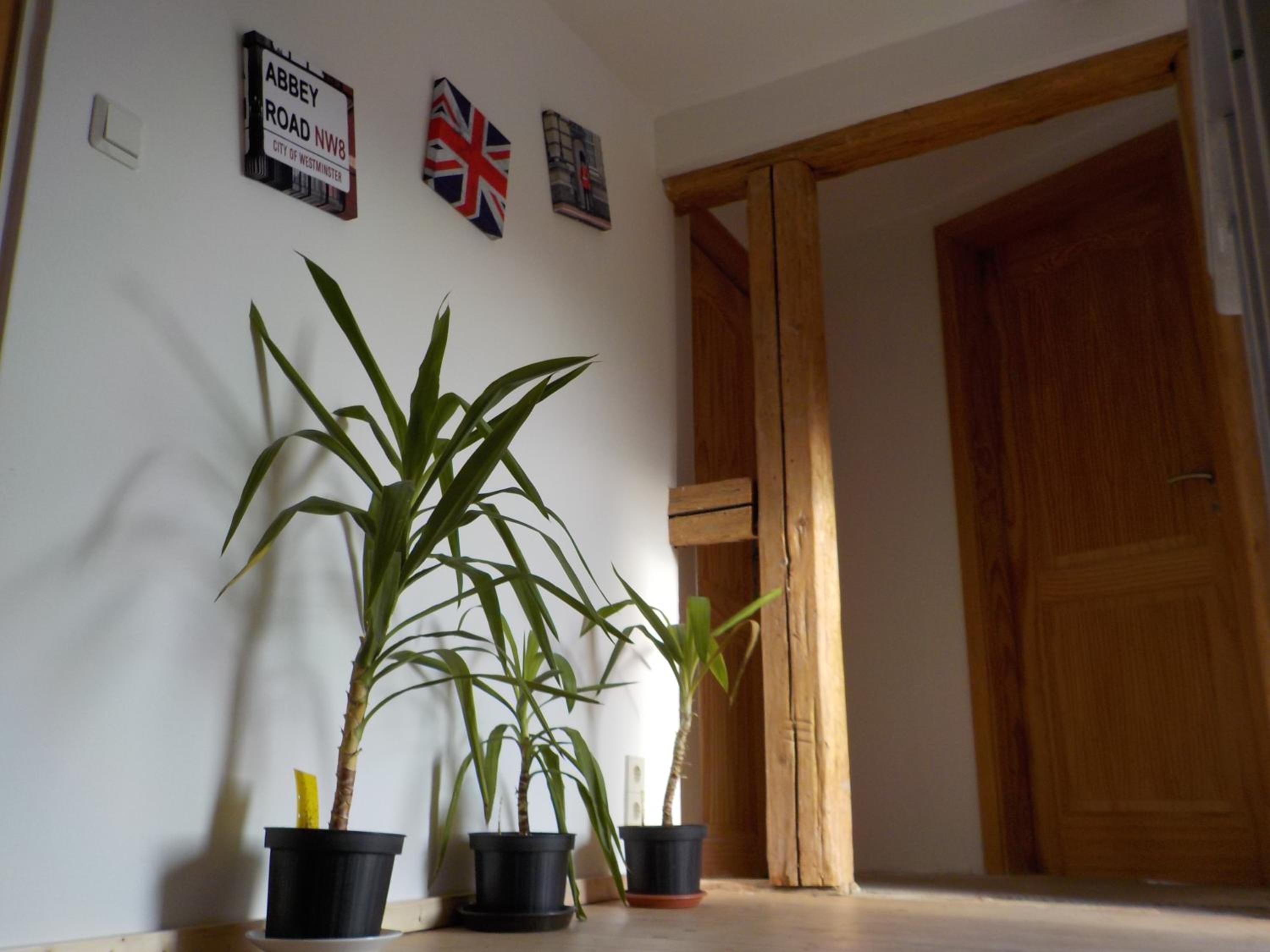 Three-Bedroom House photo 2