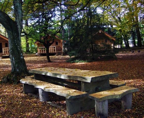 Chalet - Photo 17