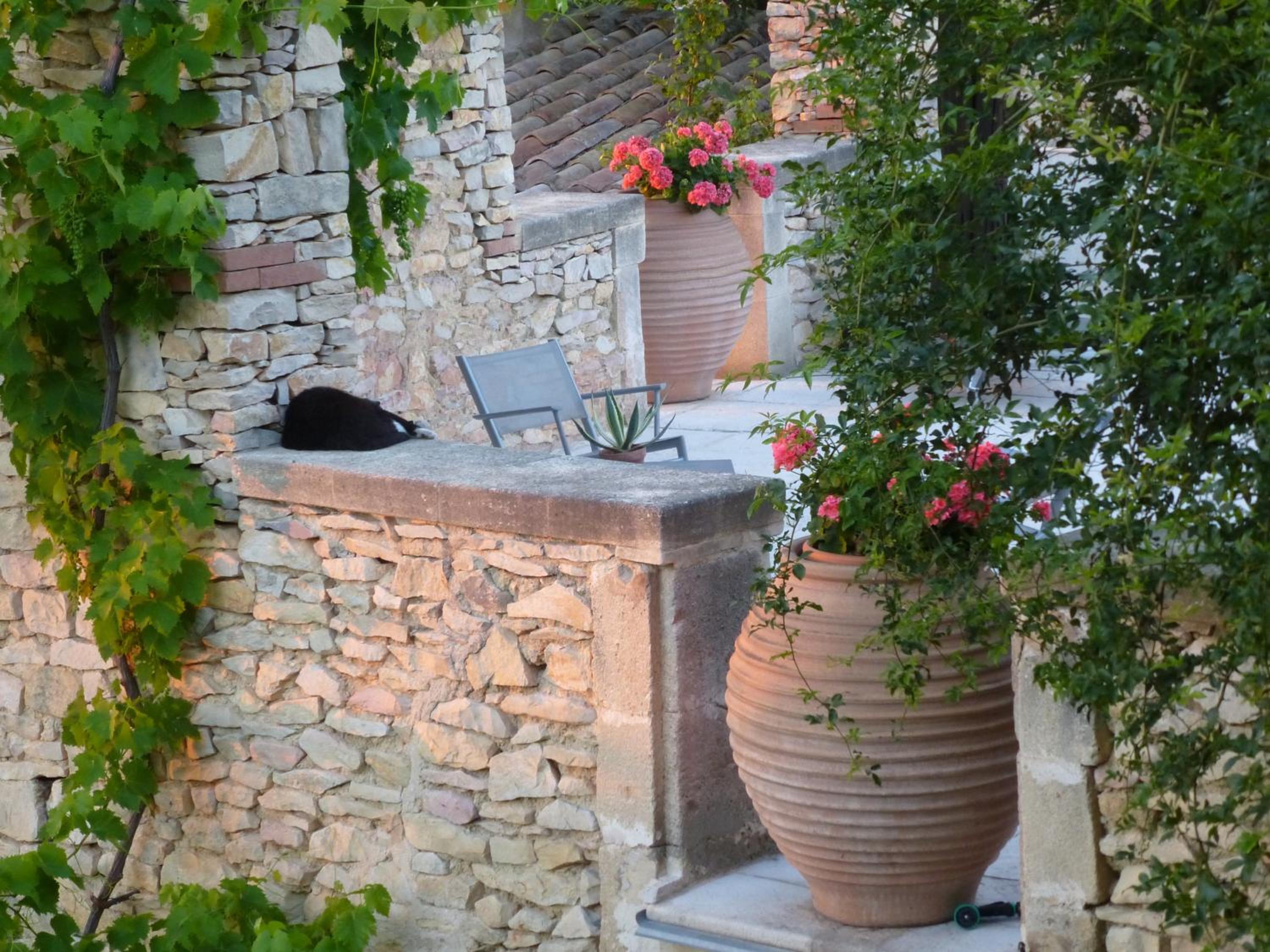 Holiday Home photo 2
