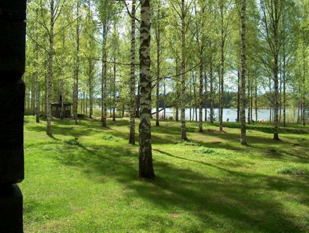 Cottage with Sauna (6 Adults) photo 2