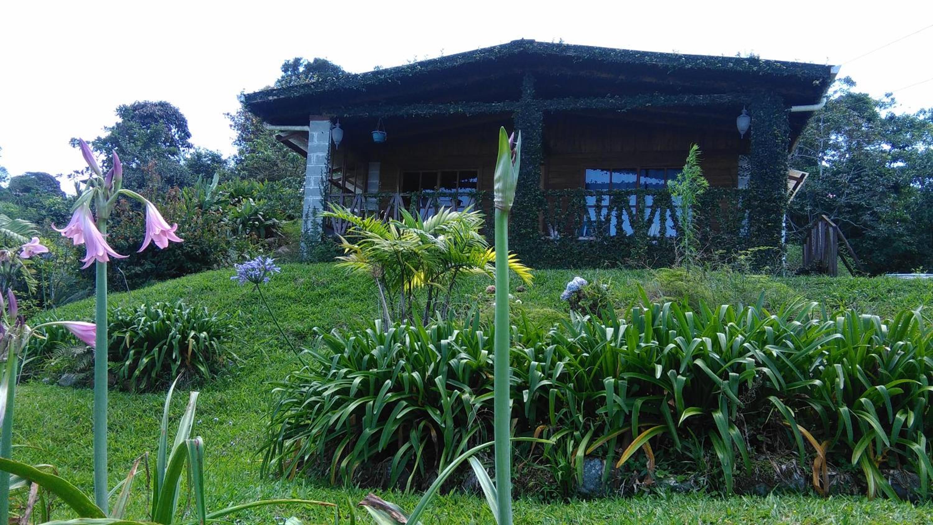 Two-Bedroom House photo 3