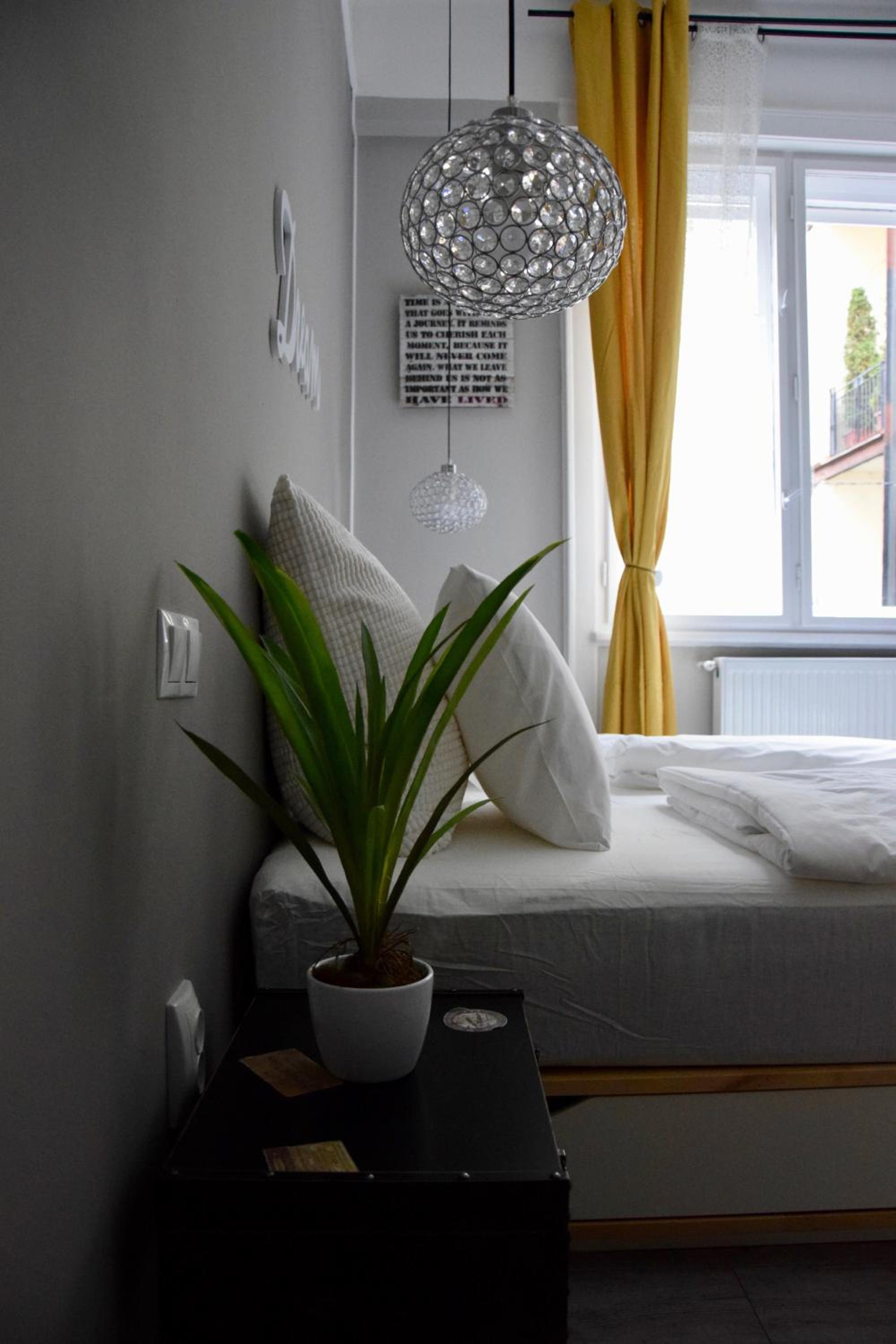Studio Apartment - Photo 6