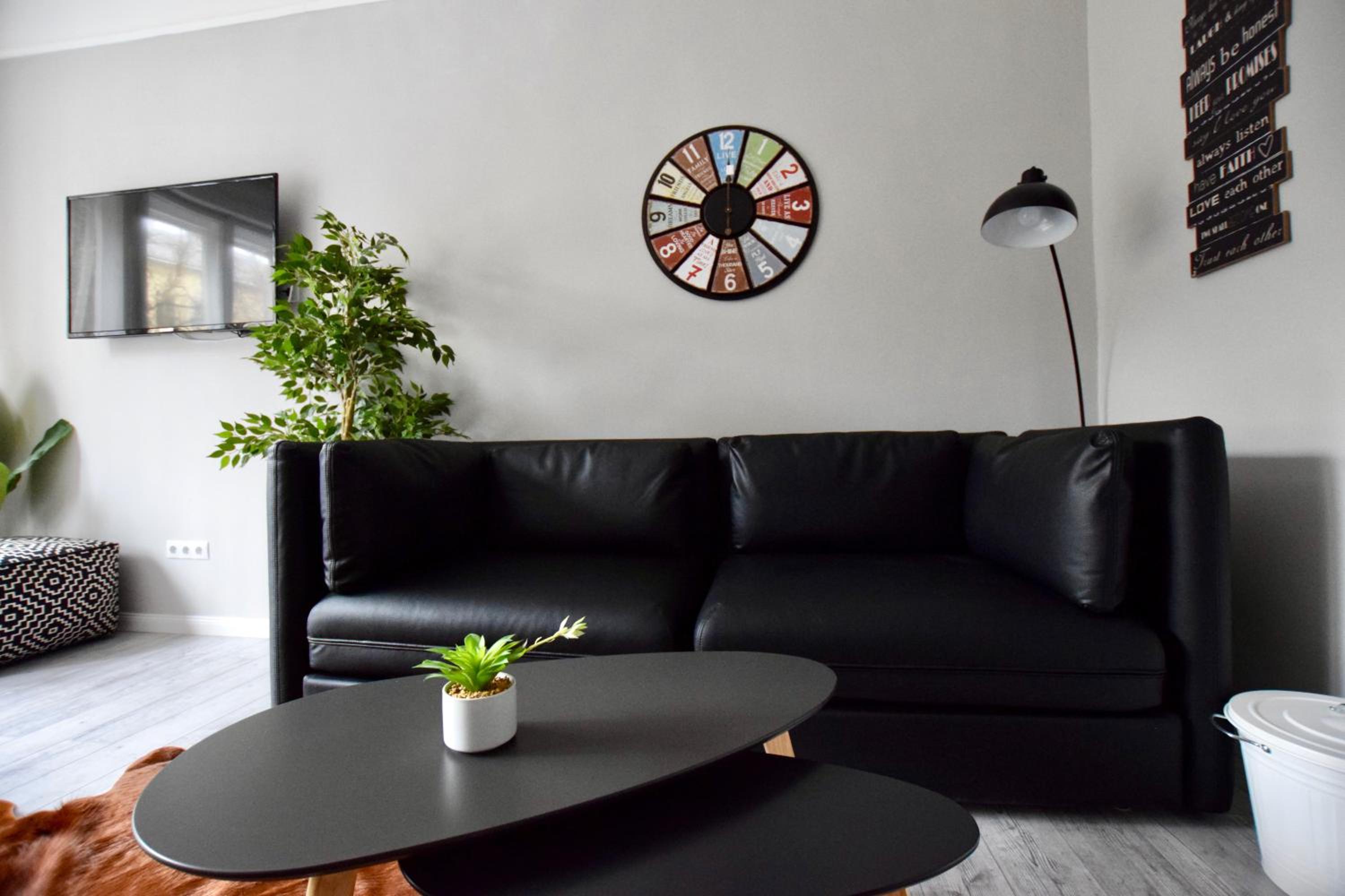 Studio Apartment - Photo 8