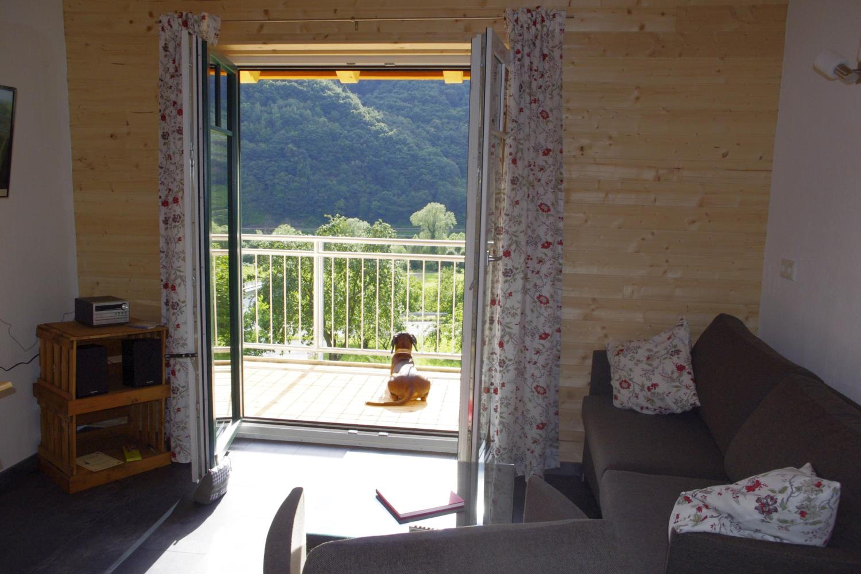 Apartment with Balcony photo 3