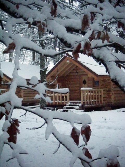 Chalet - Photo 29