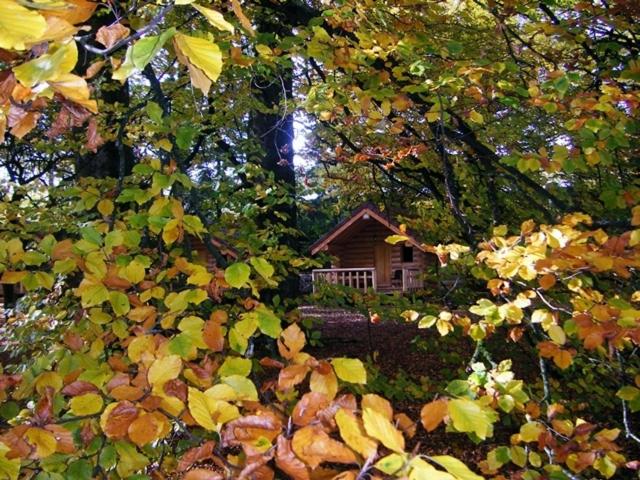 Chalet - Photo 16