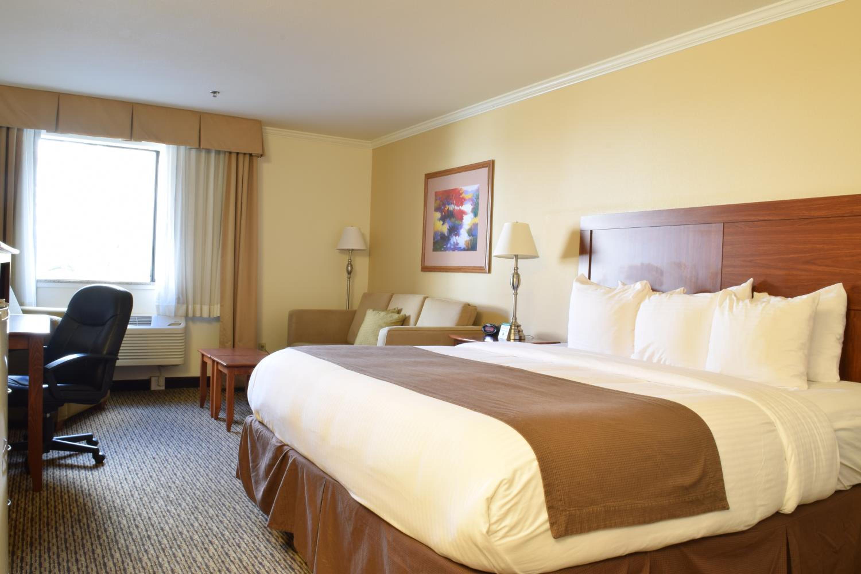 King Room photo 3