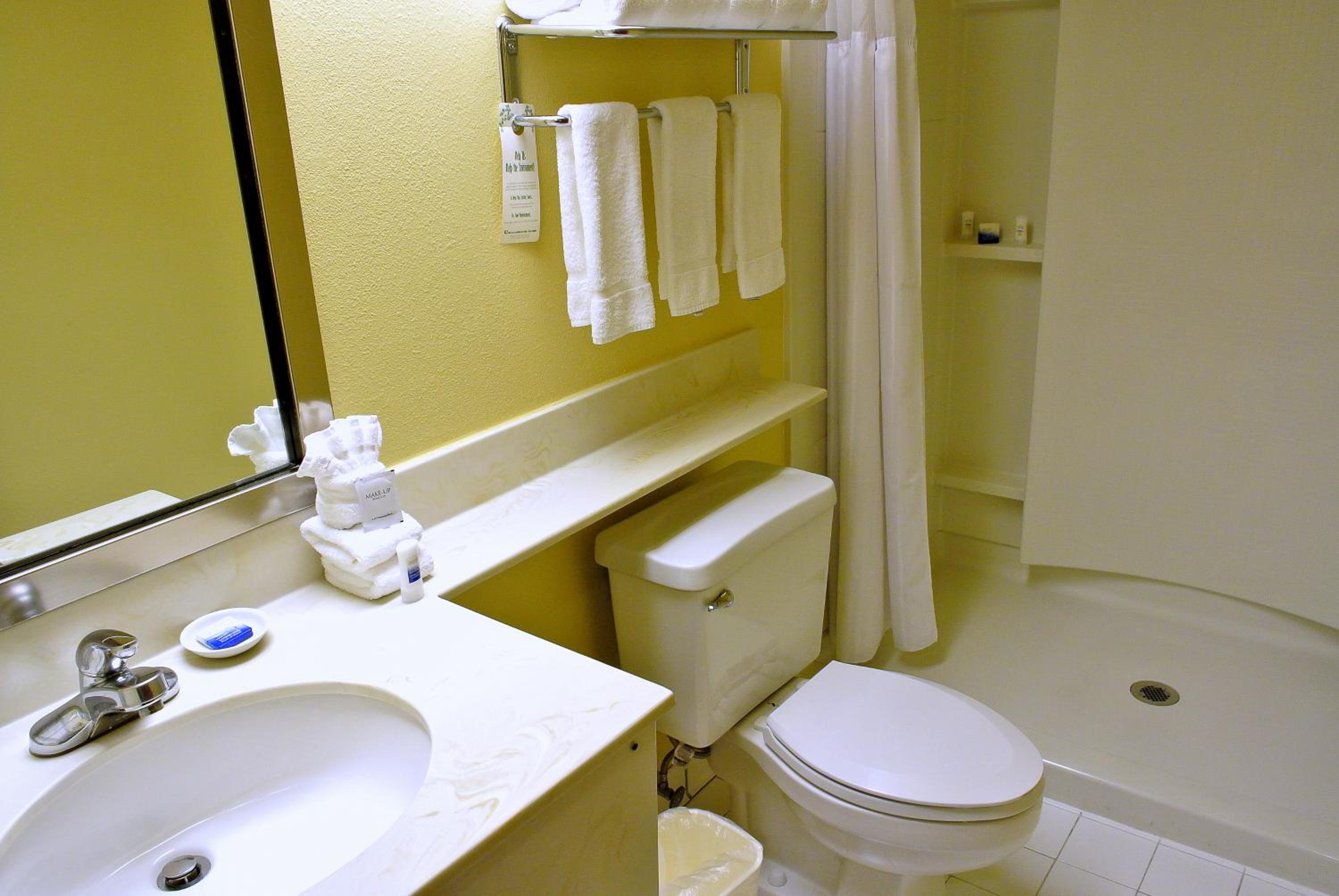 Queen Room with Bath Tub - Disability/Non-Smoking - Photo 8