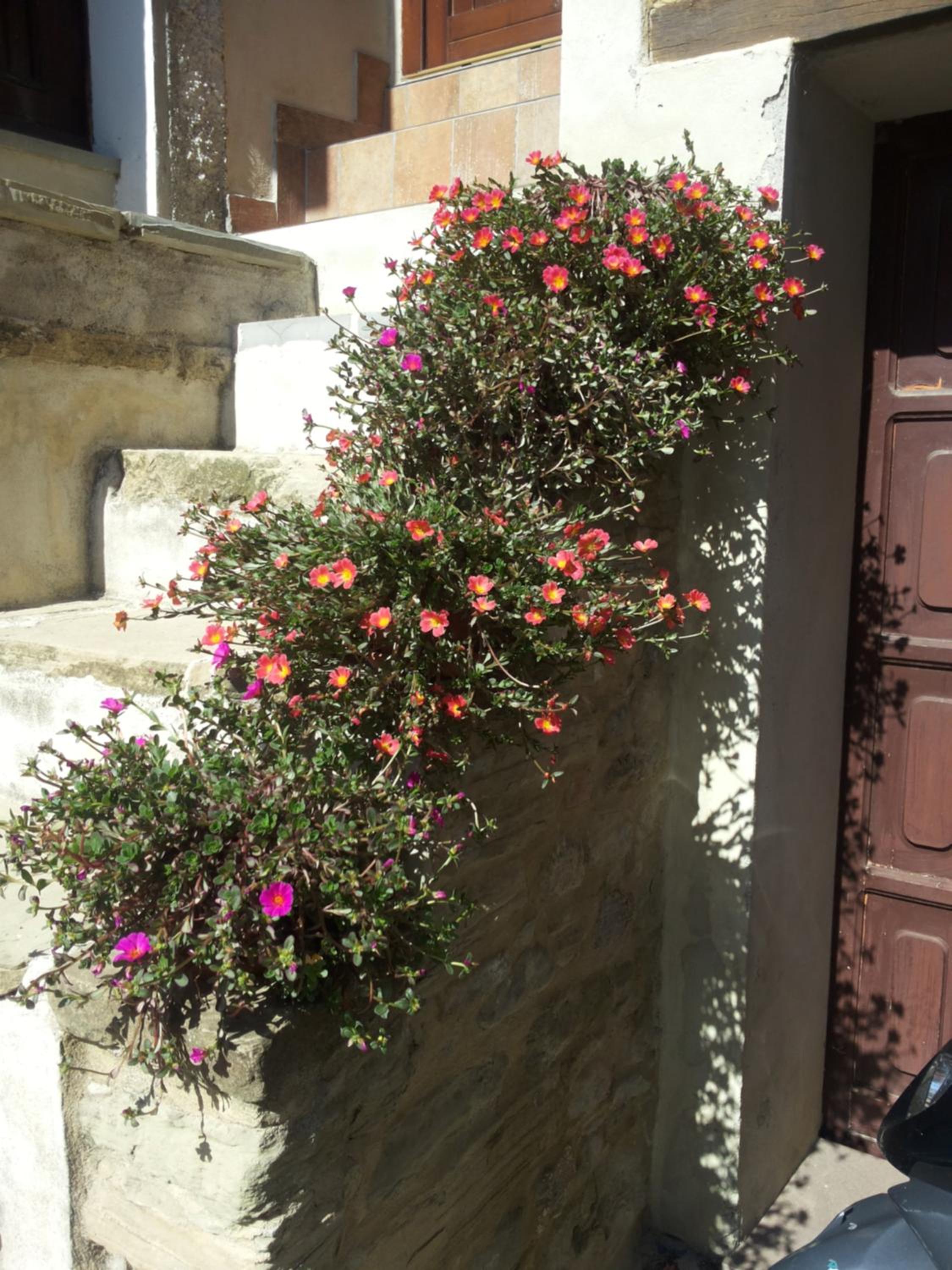 Maisonette - Photo 37