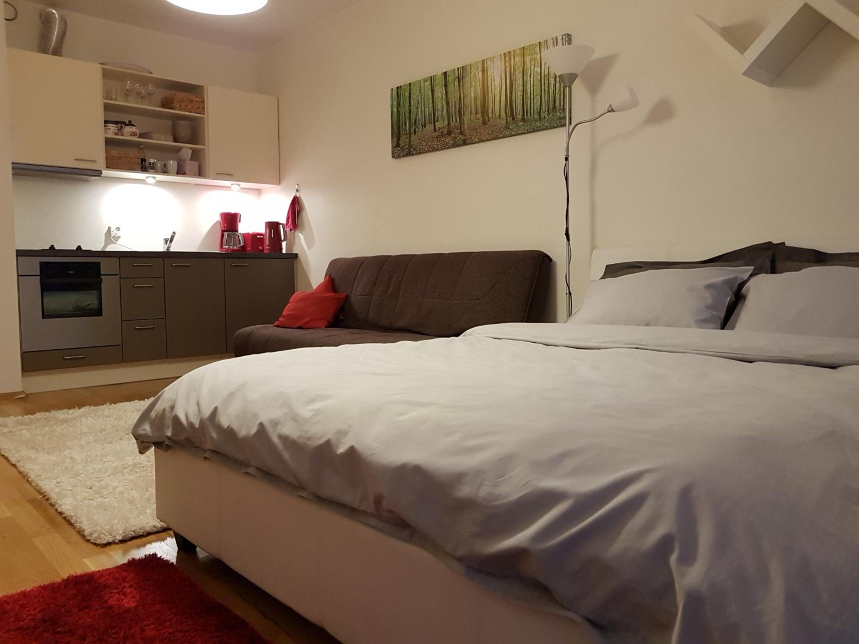 Studio Apartment - Photo 17