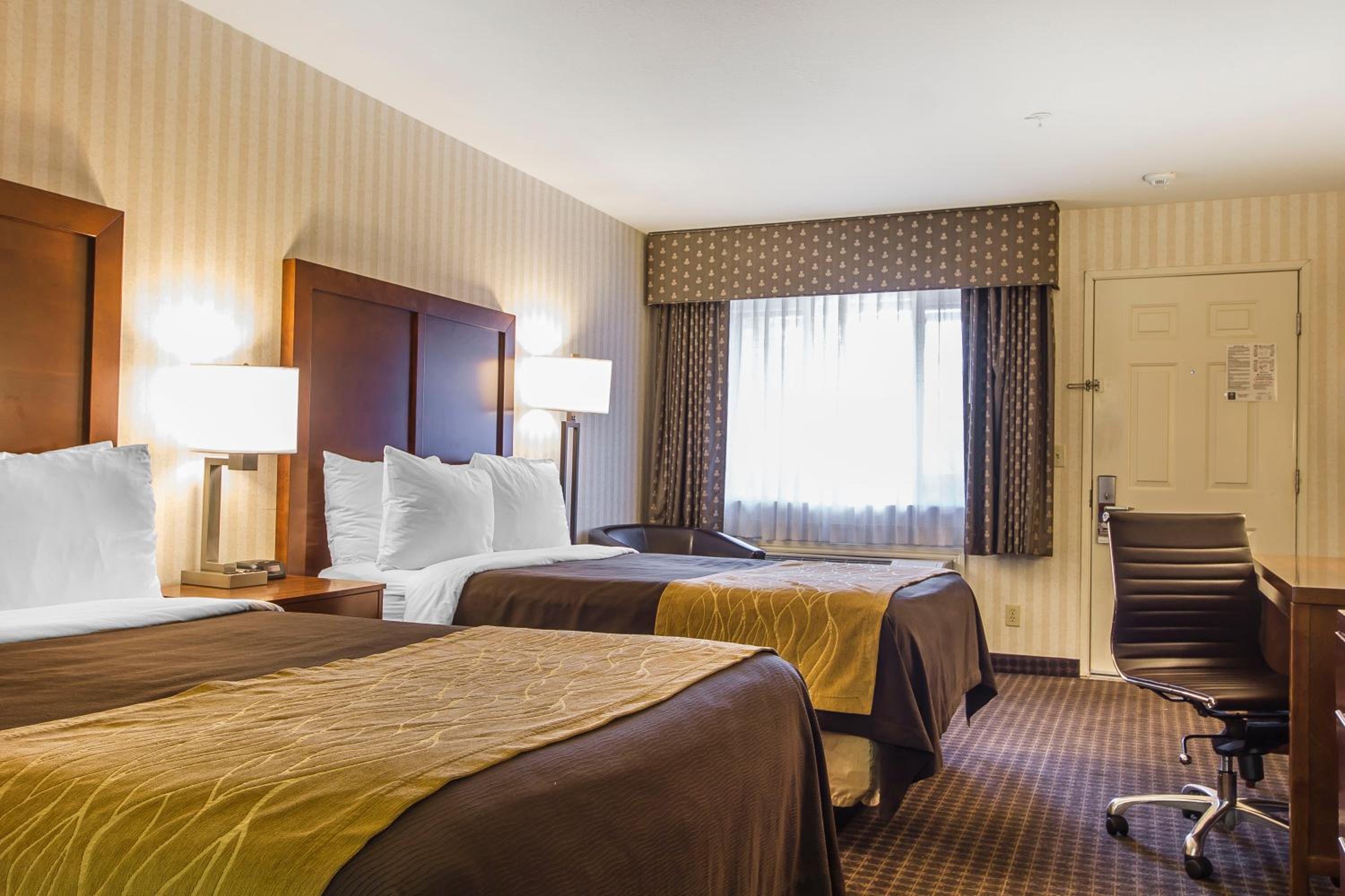 Standard Double Room - Photo 4