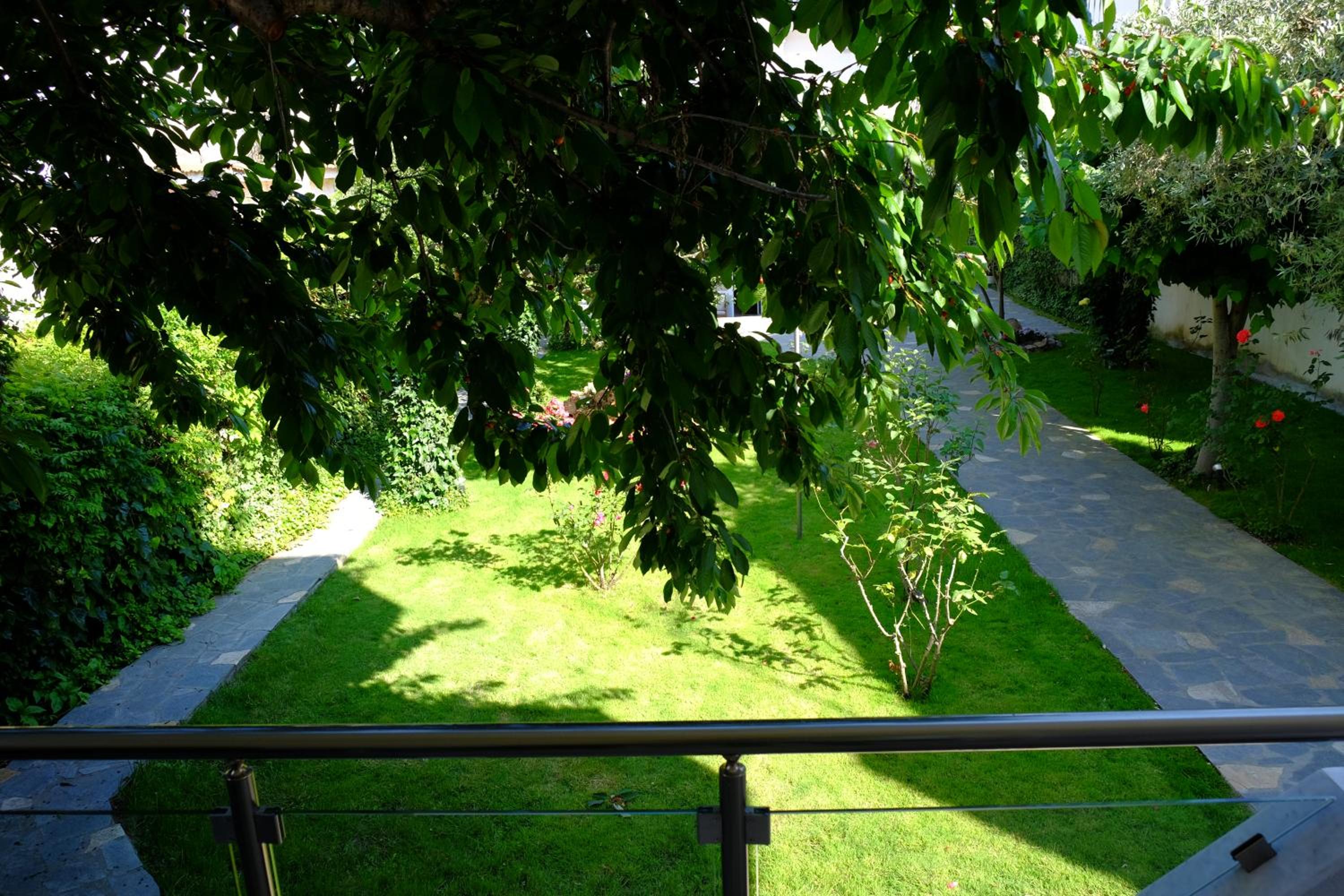Deluxe Studio Garden or Mountain View photo 2
