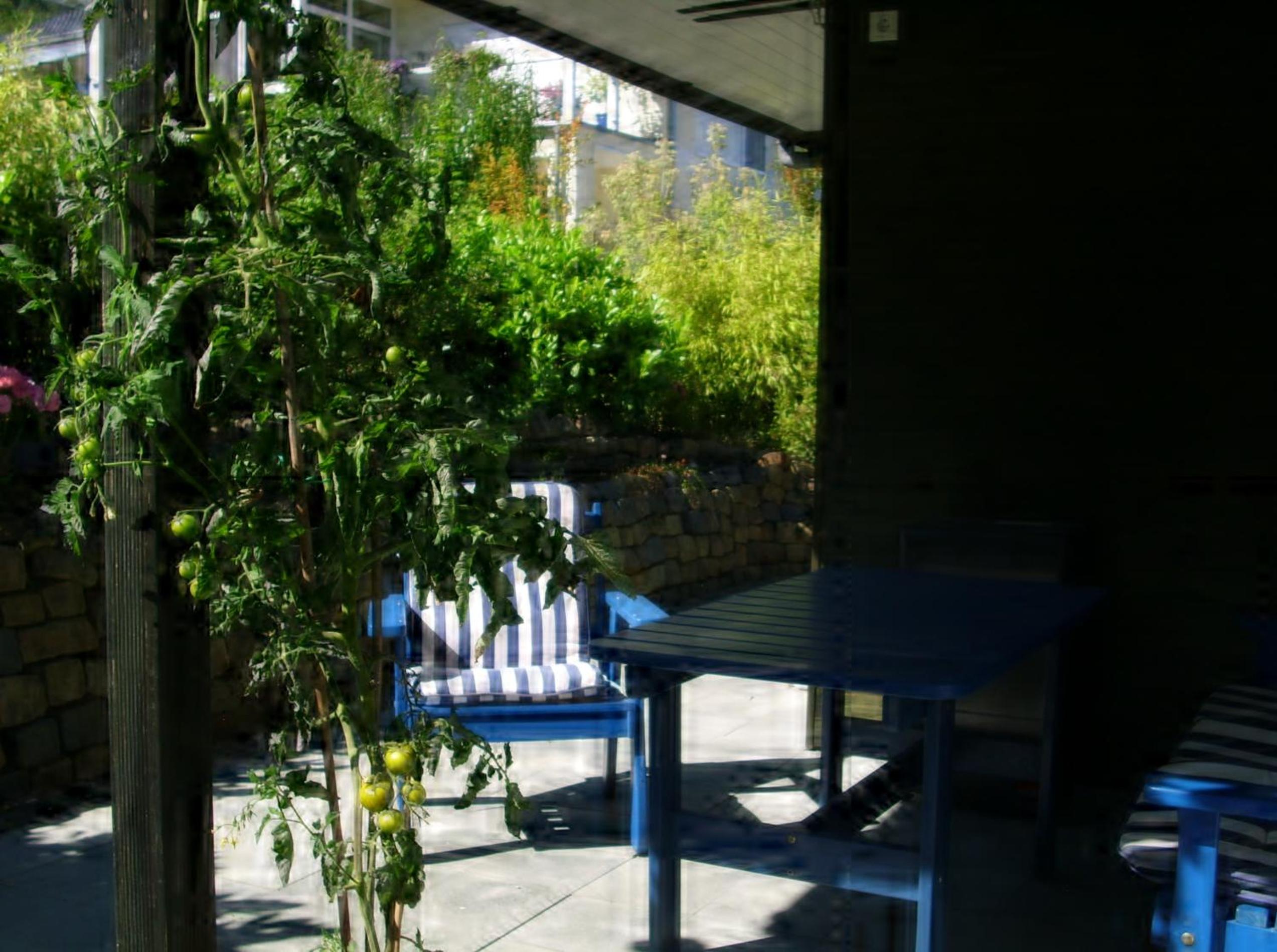 Apartment with Mountain View photo 3