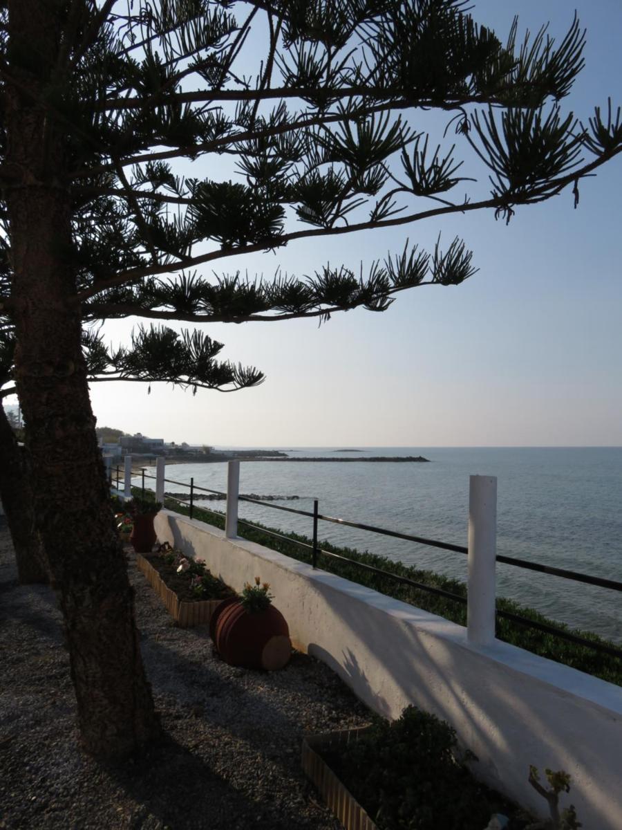 Studio With Sea View ( Ground Floor) photo 3
