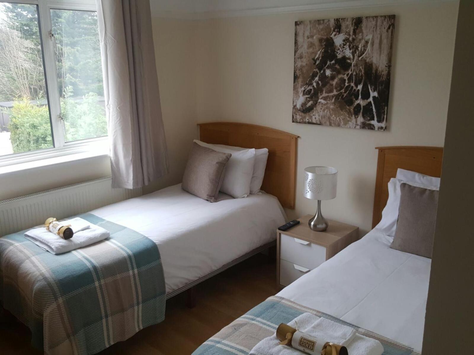 Economy Twin Room photo 2