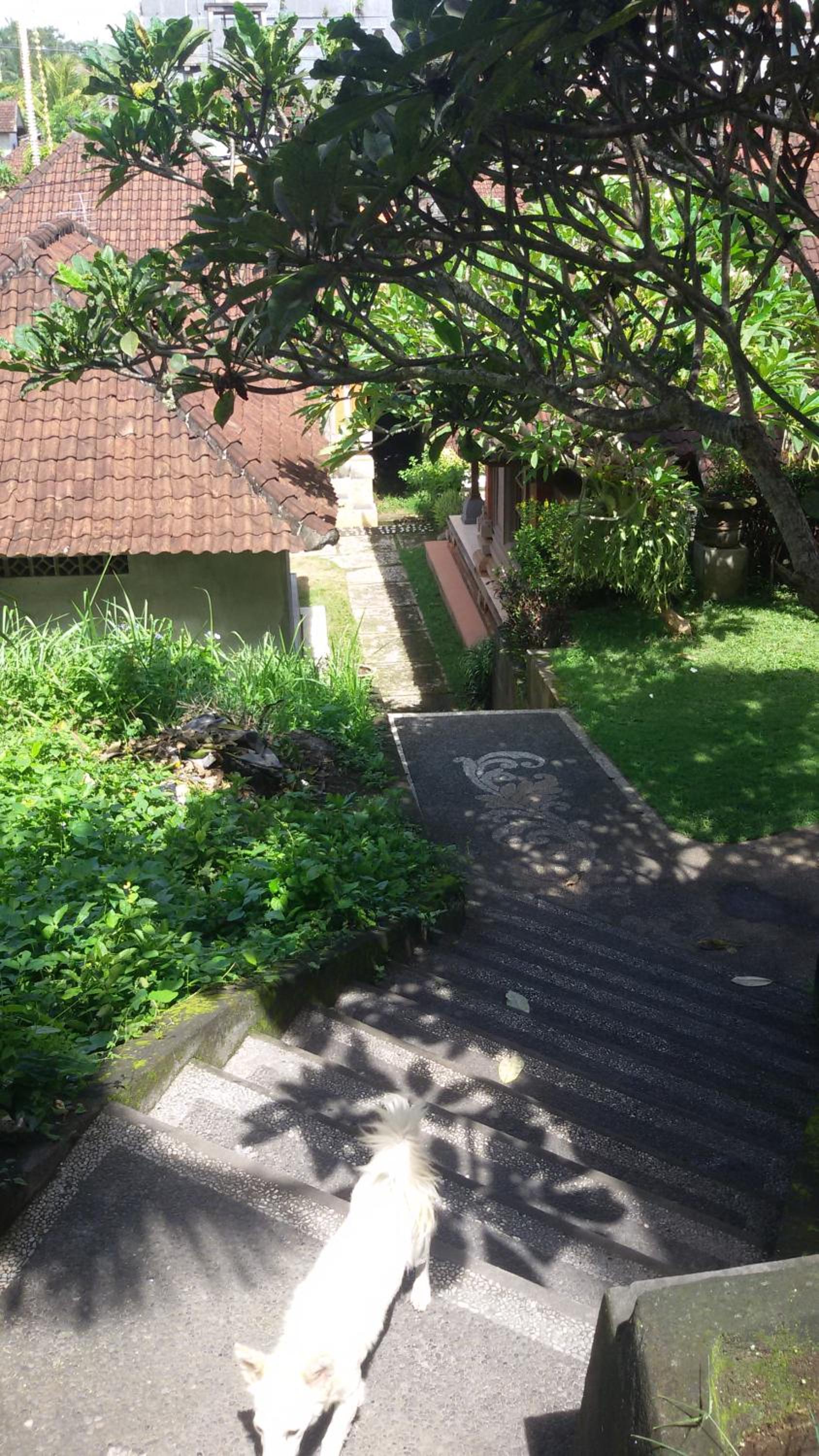 Standard Double Room - Photo 107