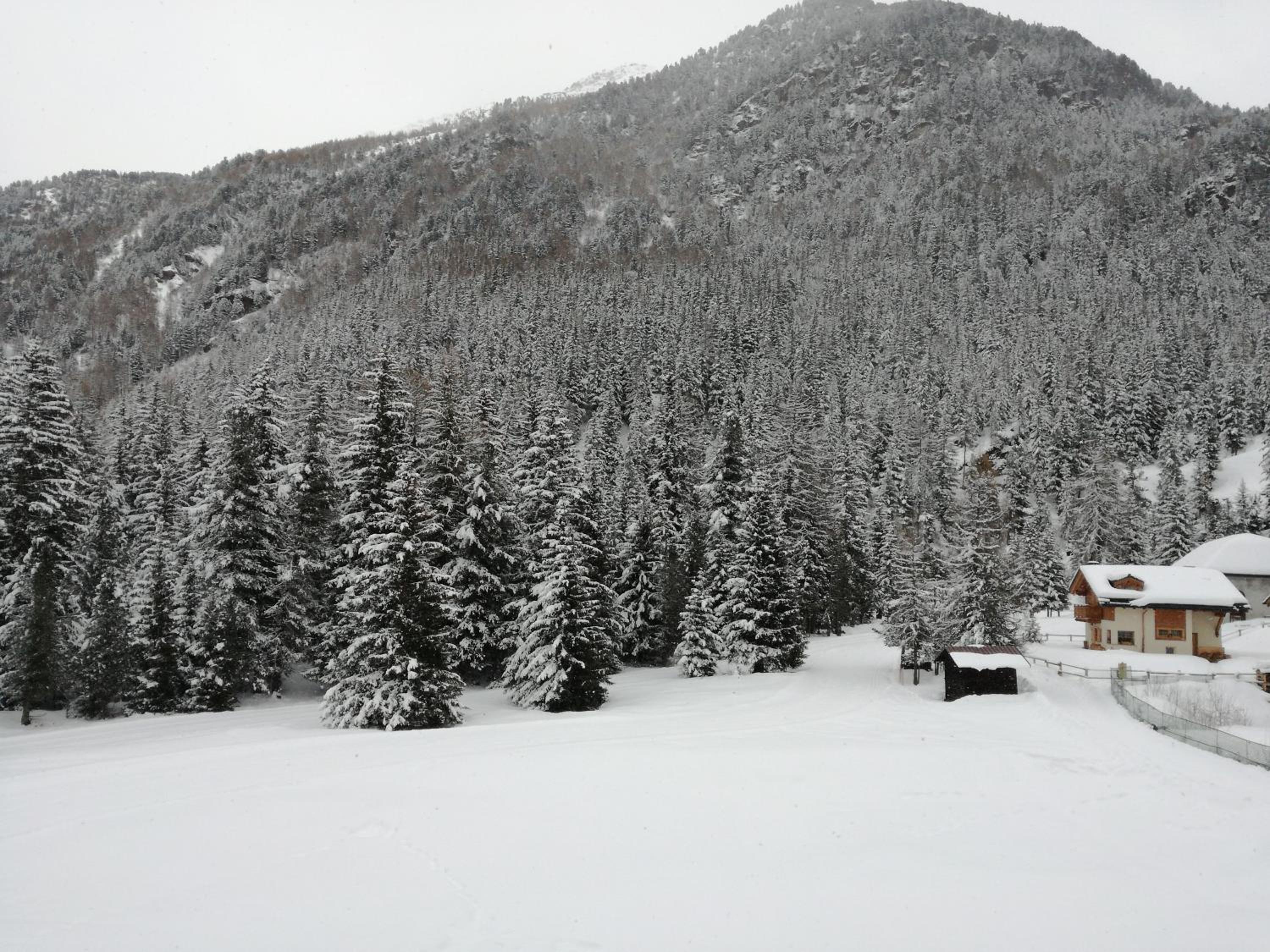 Double or Twin Room with Mountain View - Photo 3