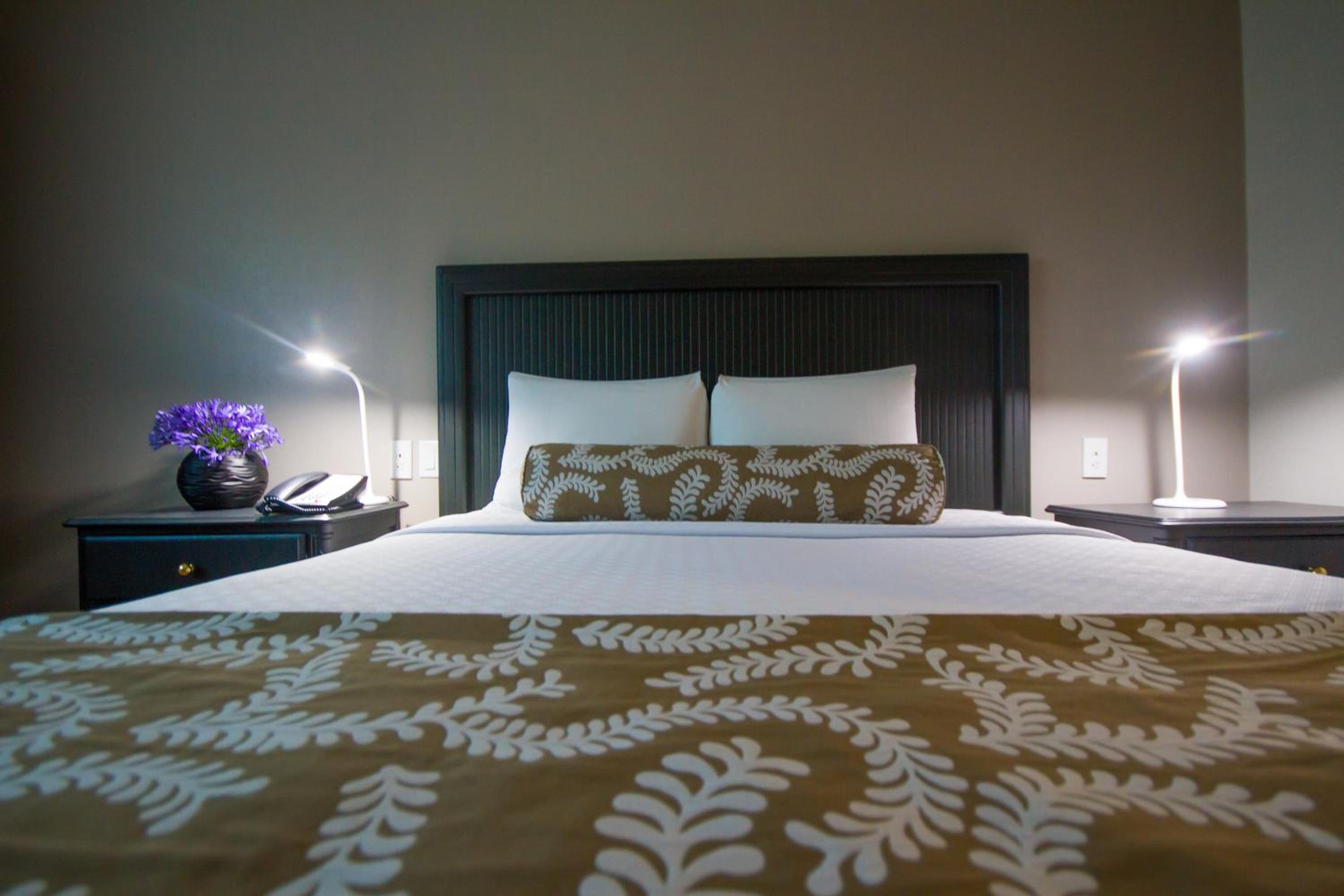 Standard Room - Photo 1
