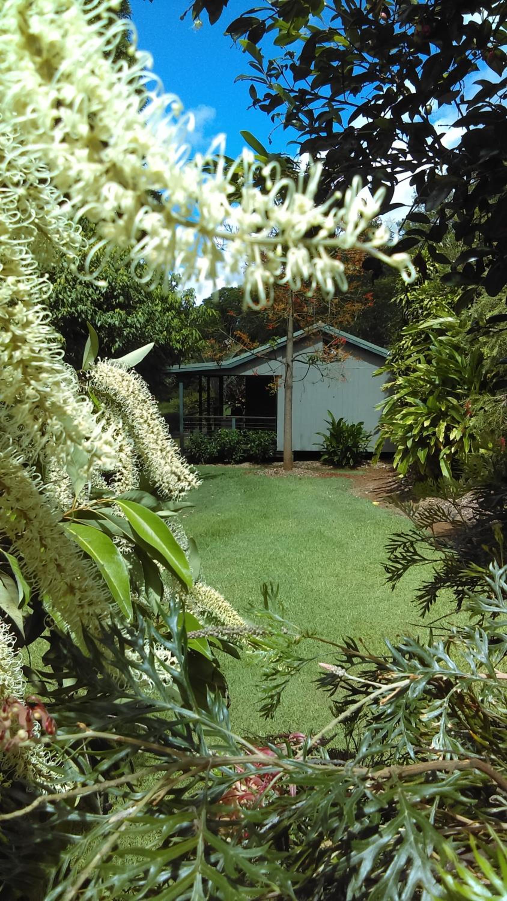 One-Bedroom Cottage with Spa Bath photo 3