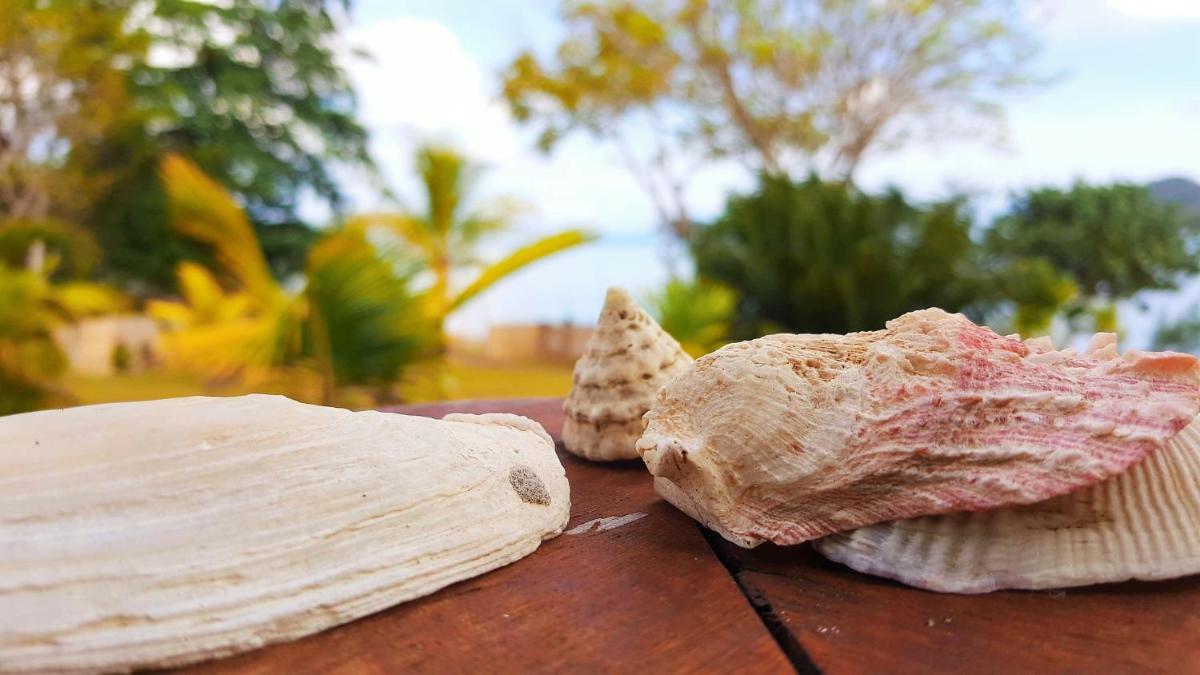 Bungalow with Sea View - Orchid - Photo 19