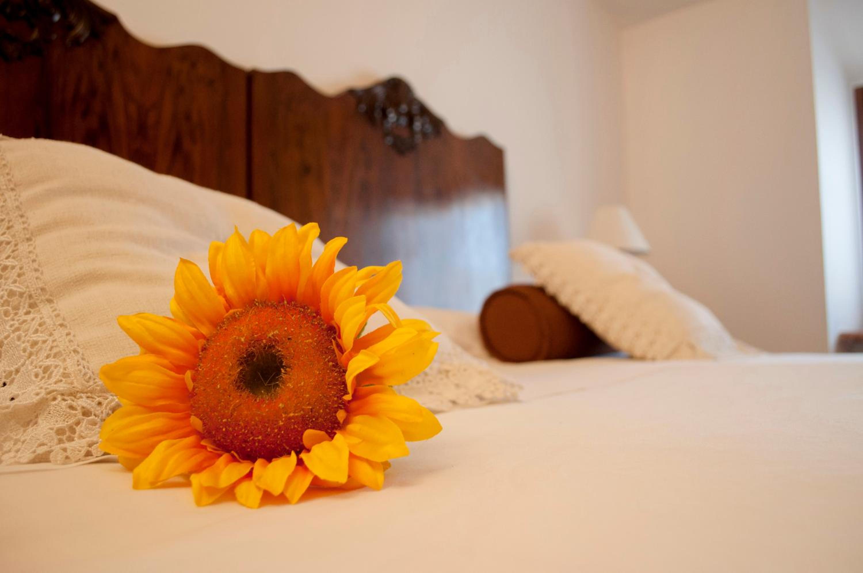 Double or Twin Room - Photo 10