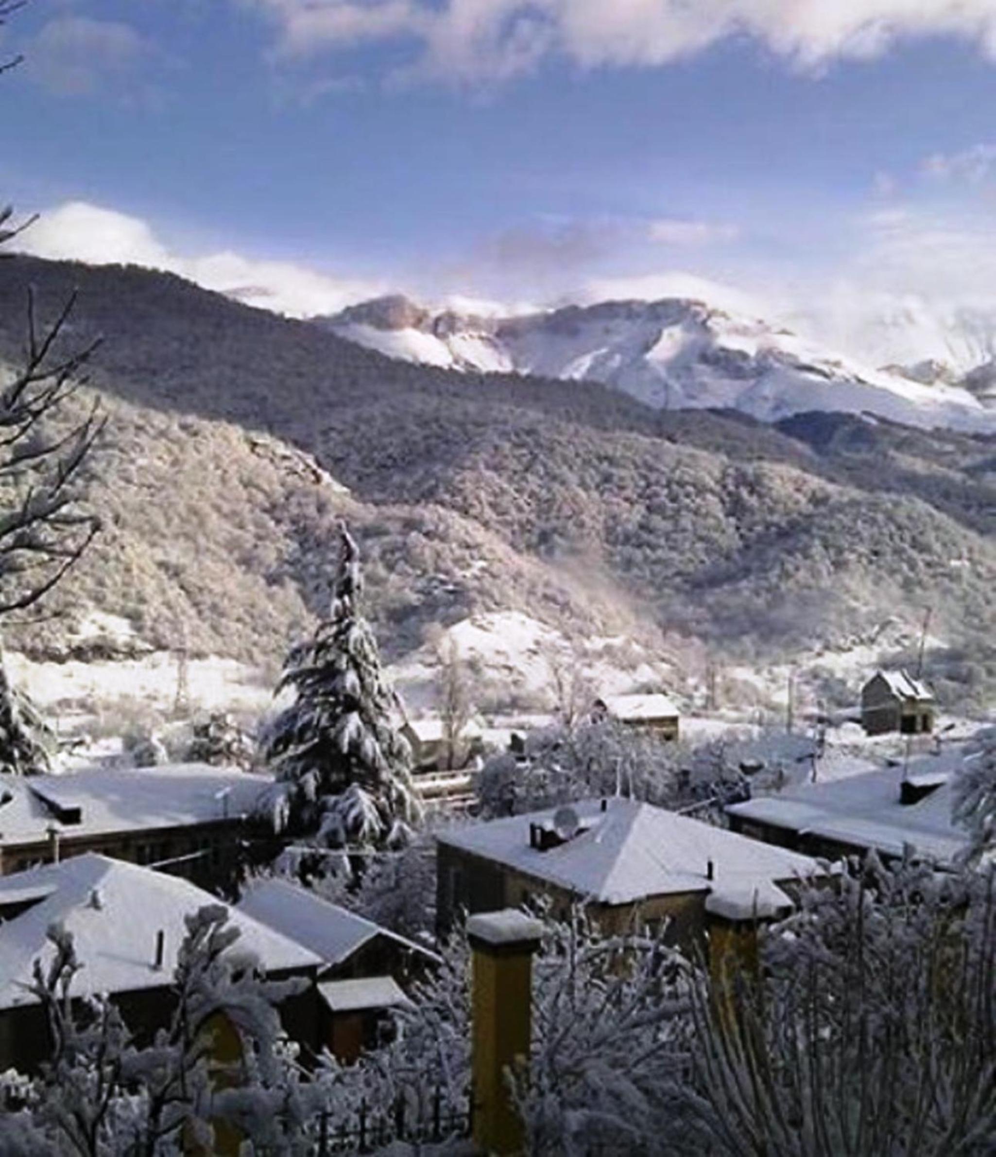 Standard Single Room with Mountain View