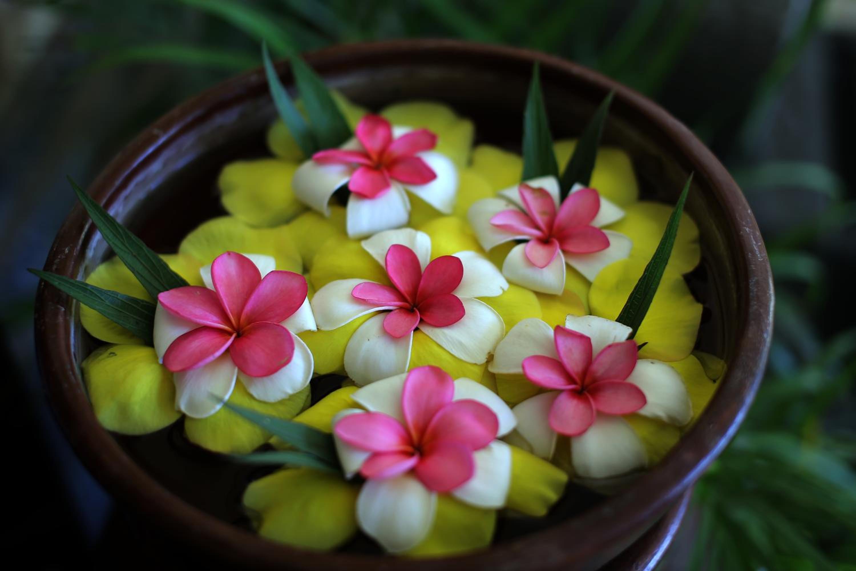Special Offer - Garden Chalet With Free 1x Balinese Massage