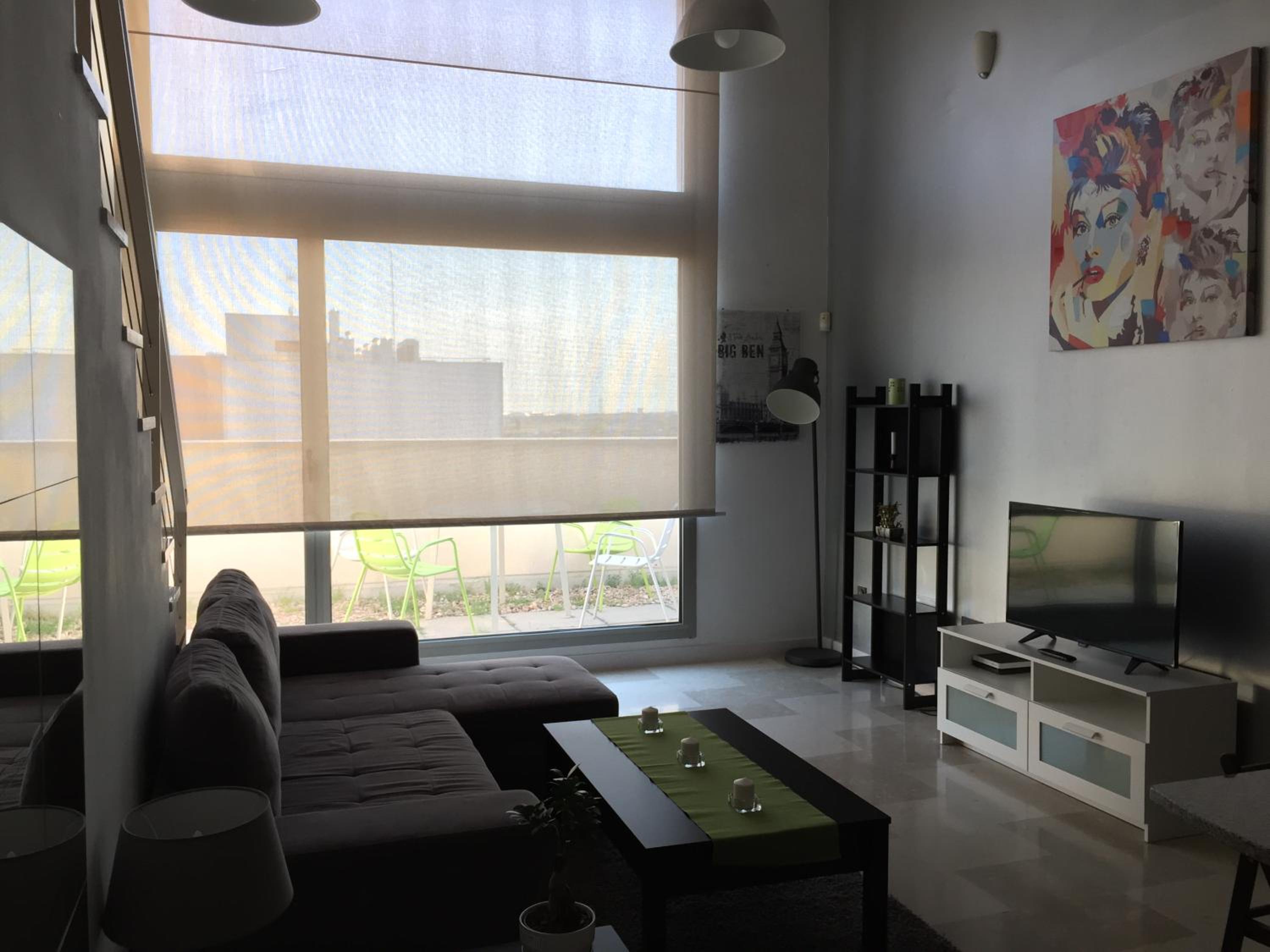 Penthouse Apartment photo 3