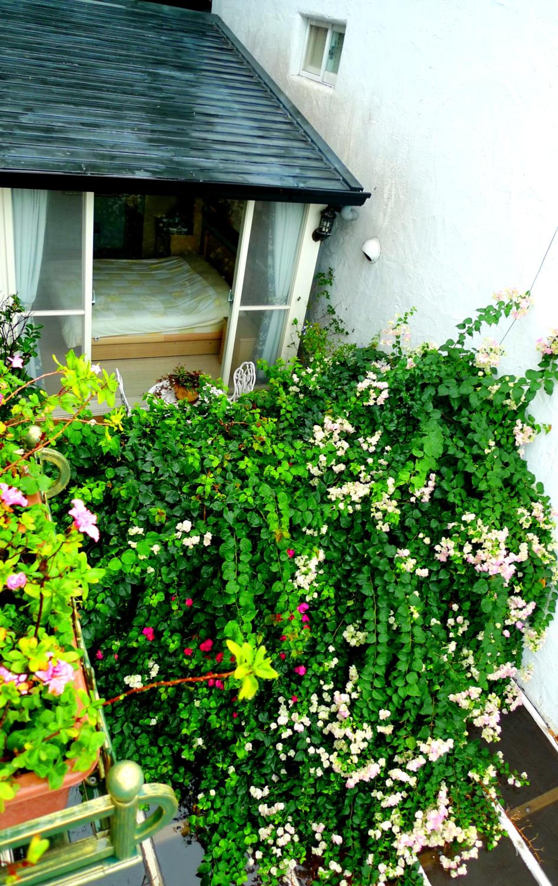 Double Room with Balcony and Sea View photo 2