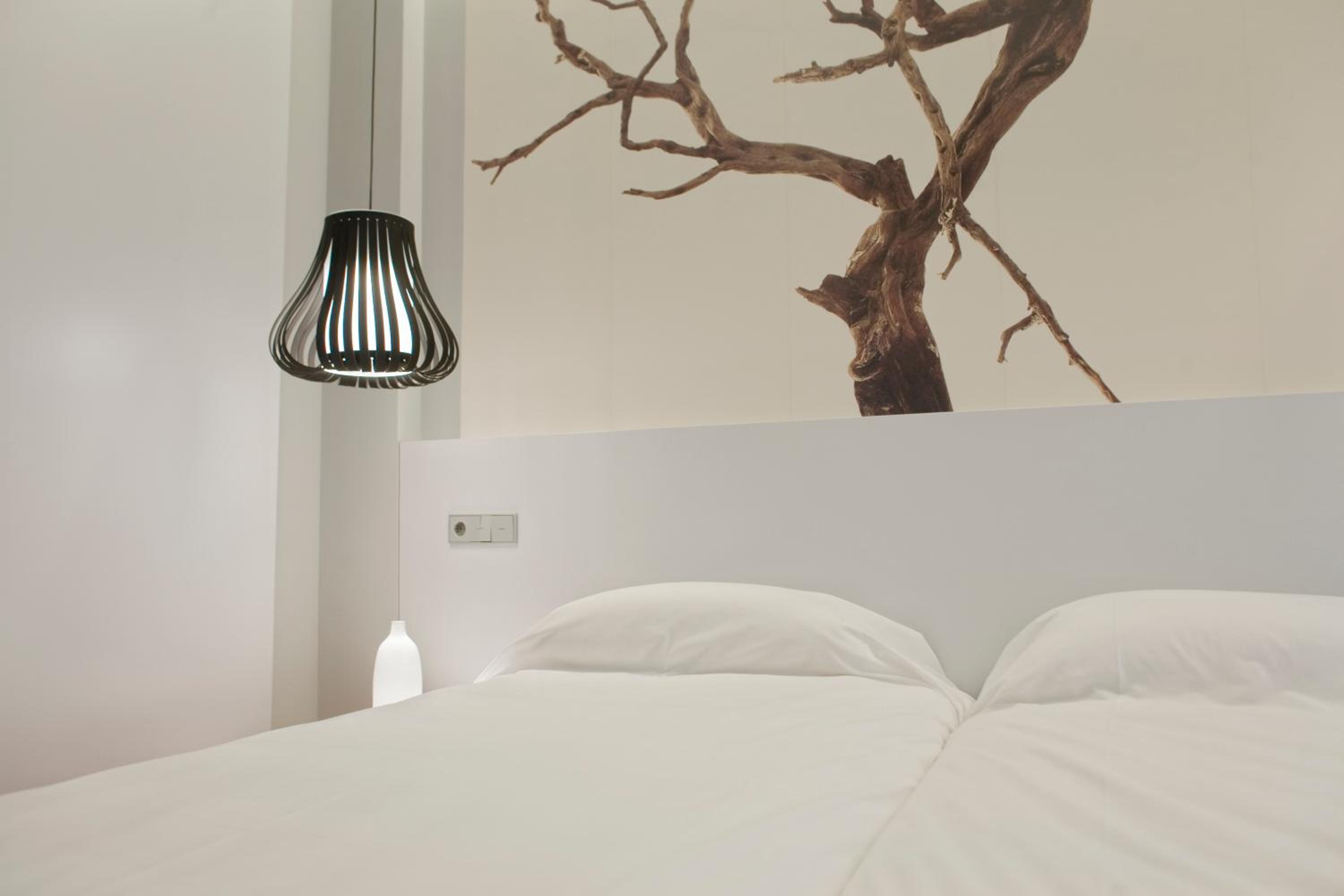 Double or Twin Room photo 3