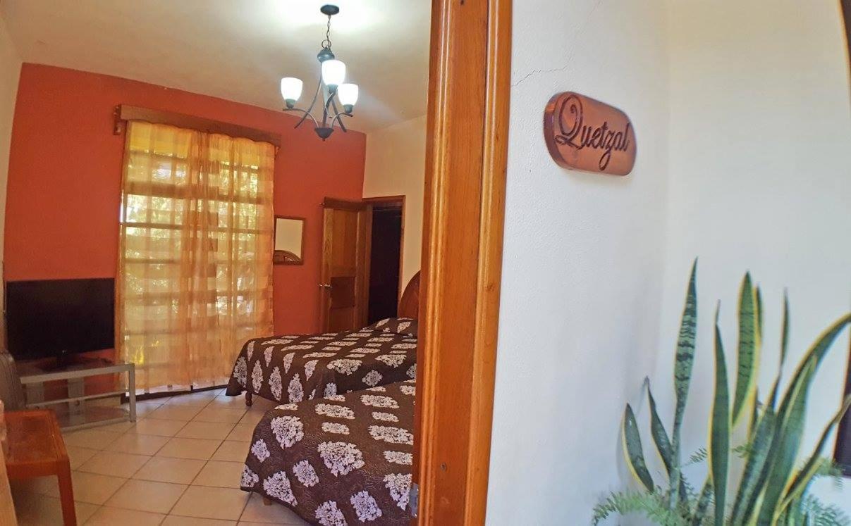Twin Room - Photo 5
