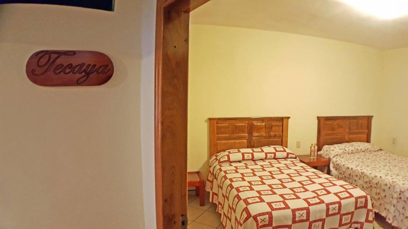 Twin Room - Photo 8