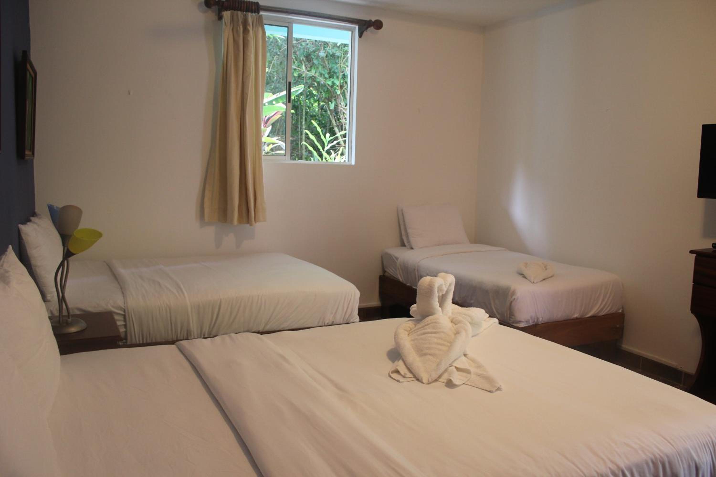 Monkey Room  photo 3