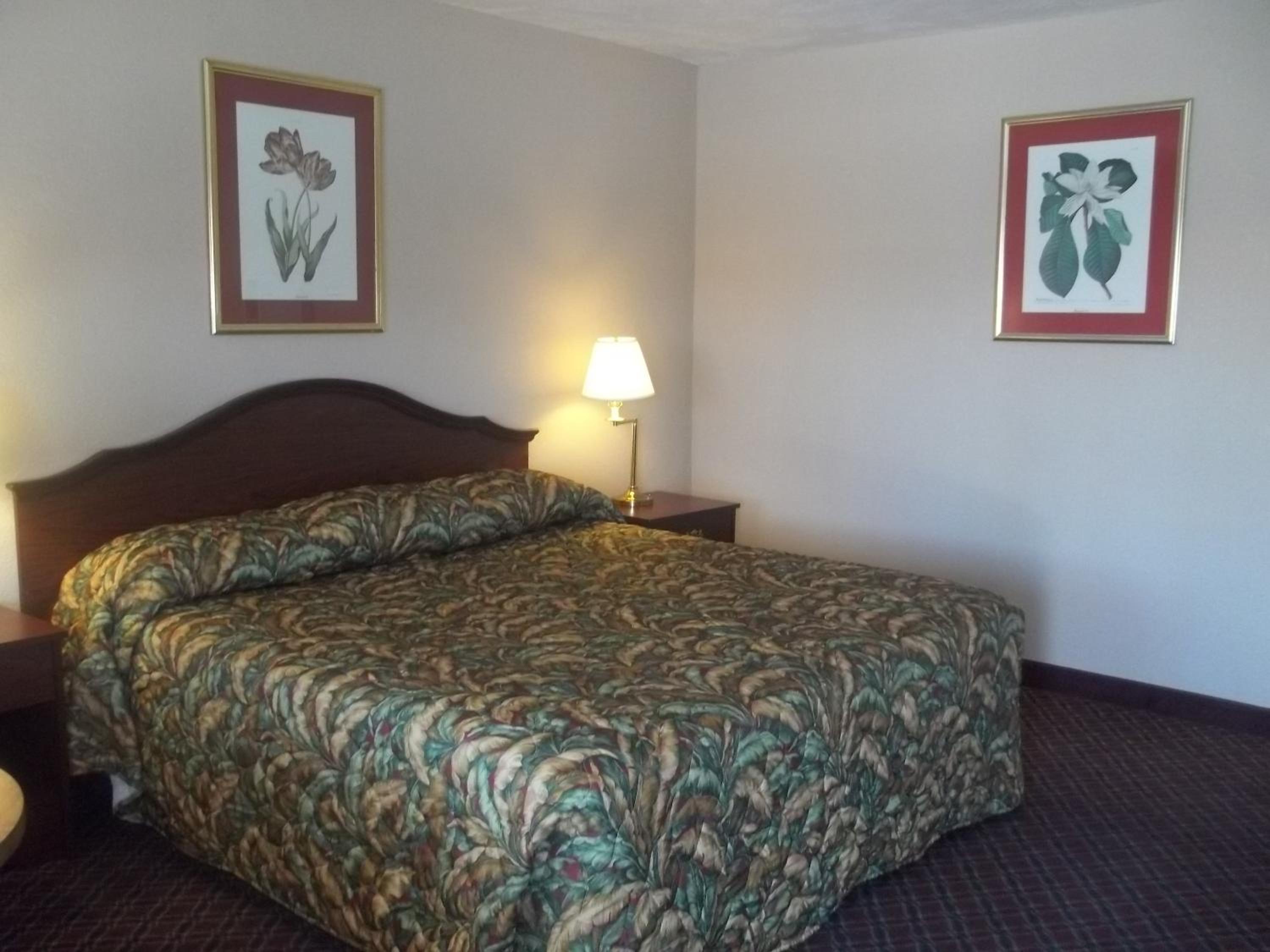 King Room - Photo 1