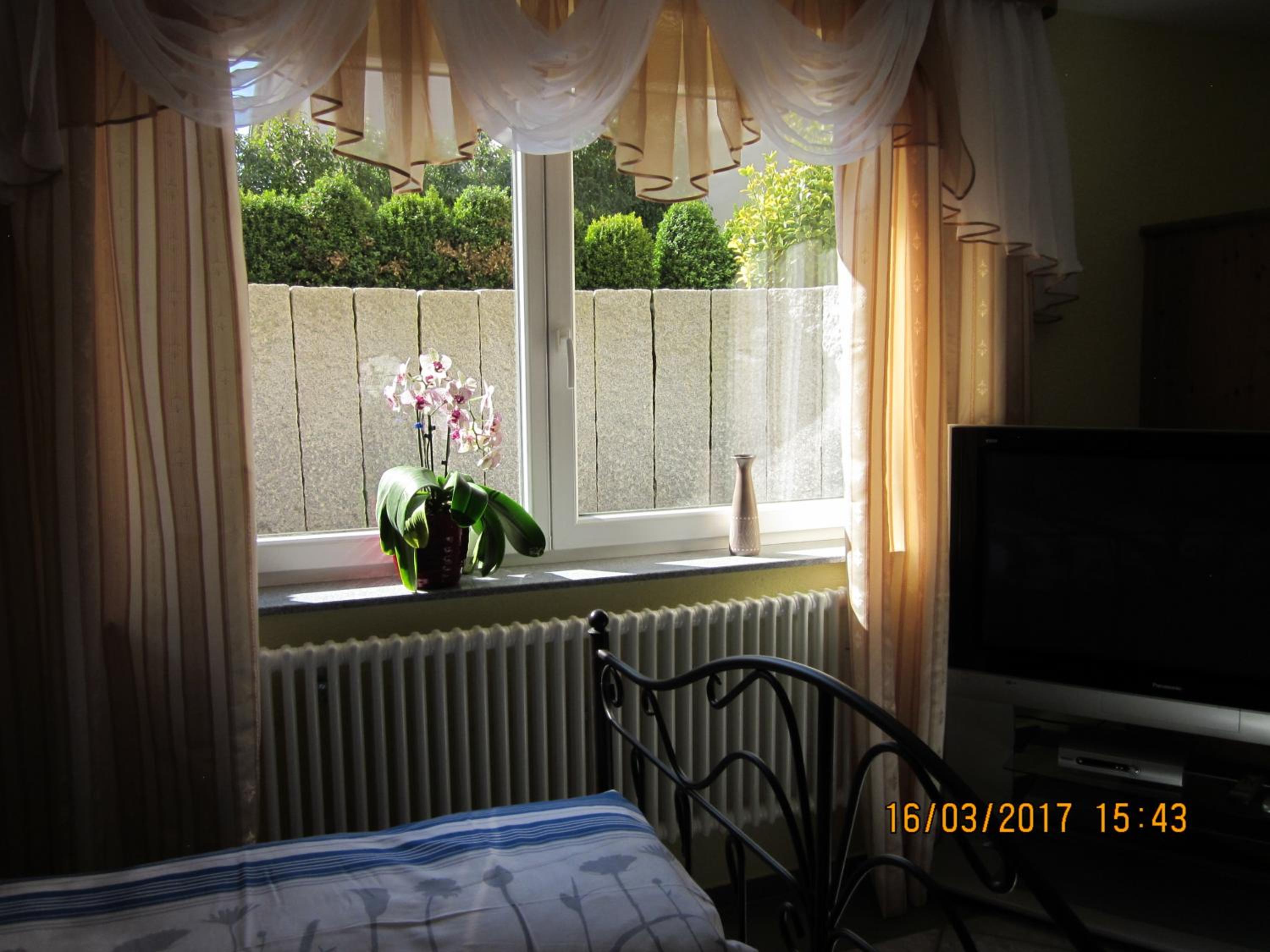 Family Room with Shower photo 3