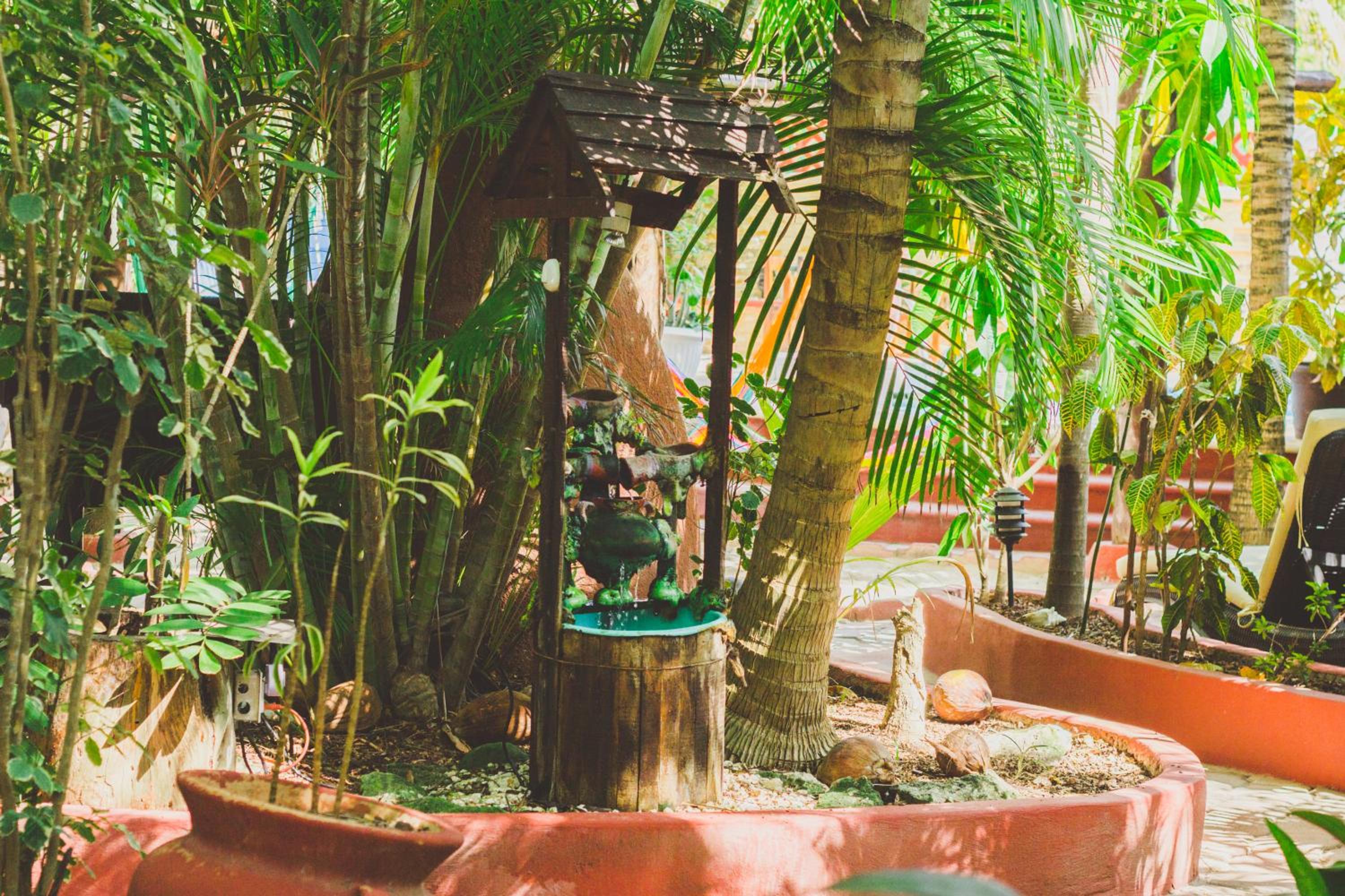 King Suite Roja - Photo 22