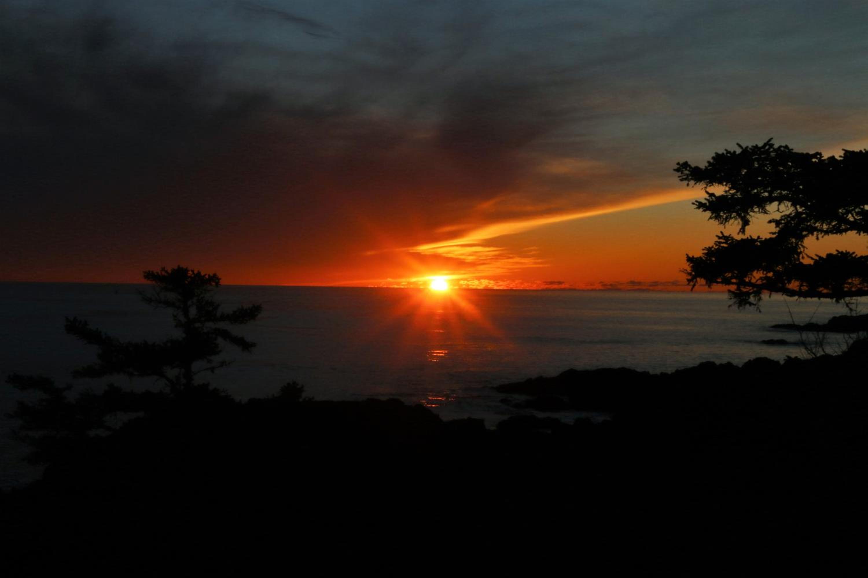 Studio With Ocean View photo 3