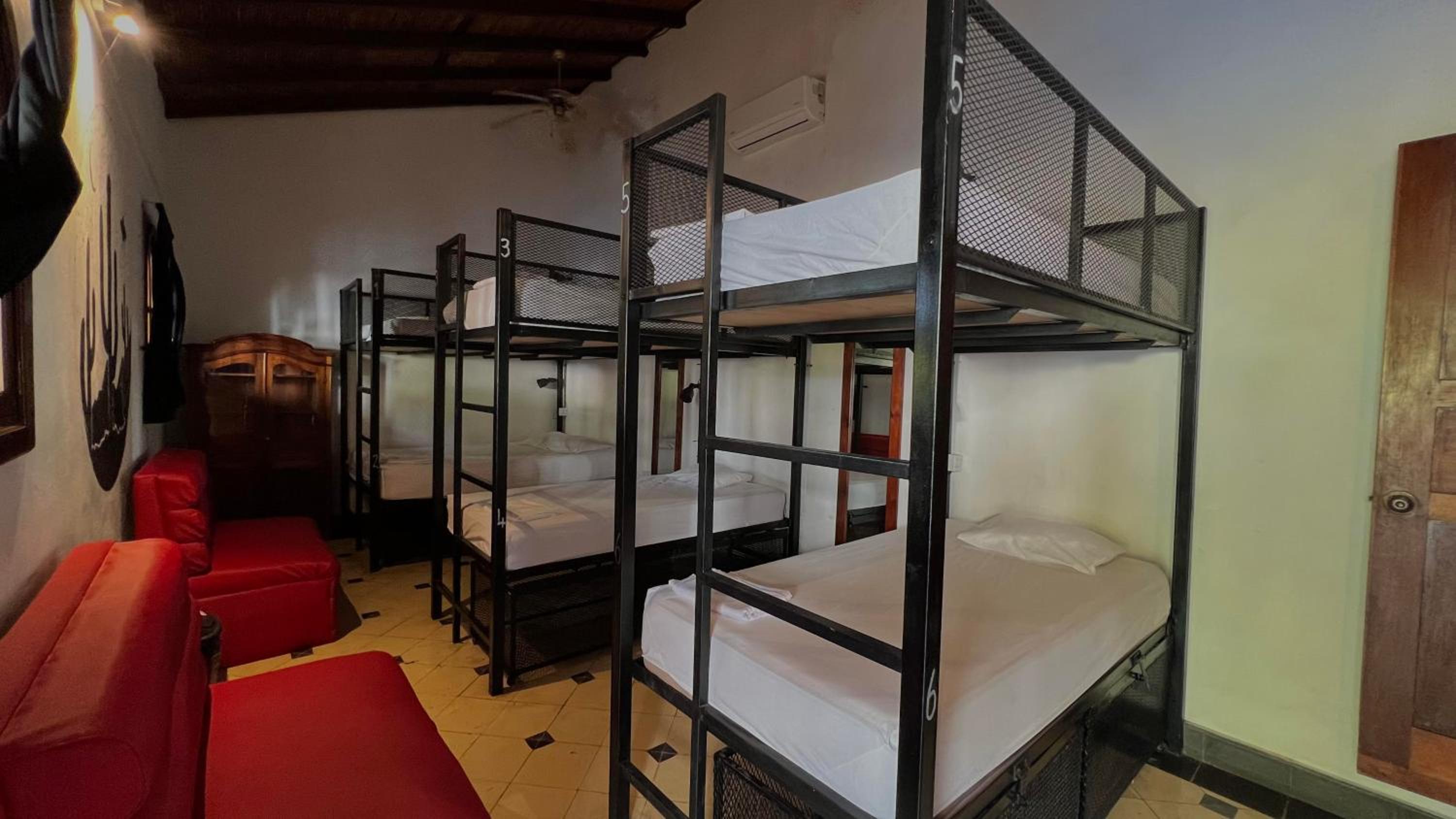 6-Bed Mixed Dormitory Room
