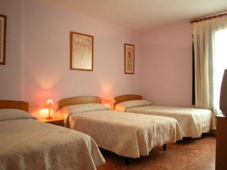 Triple Room photo 2