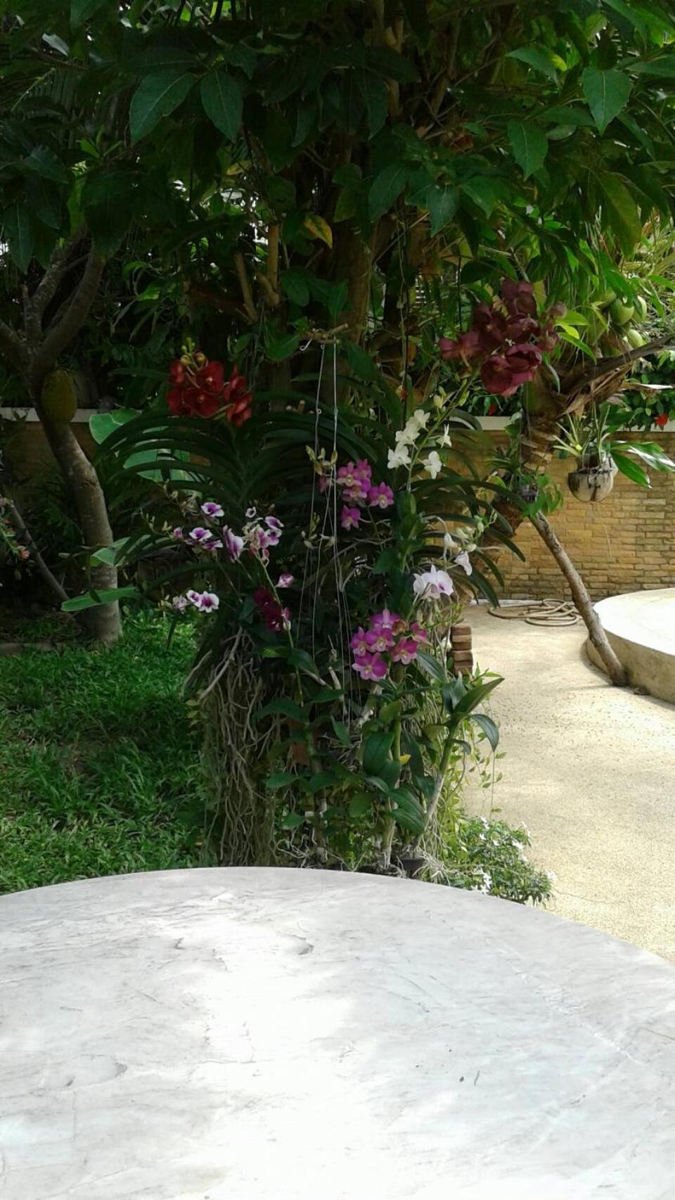 Villa with Private Pool - Photo 37