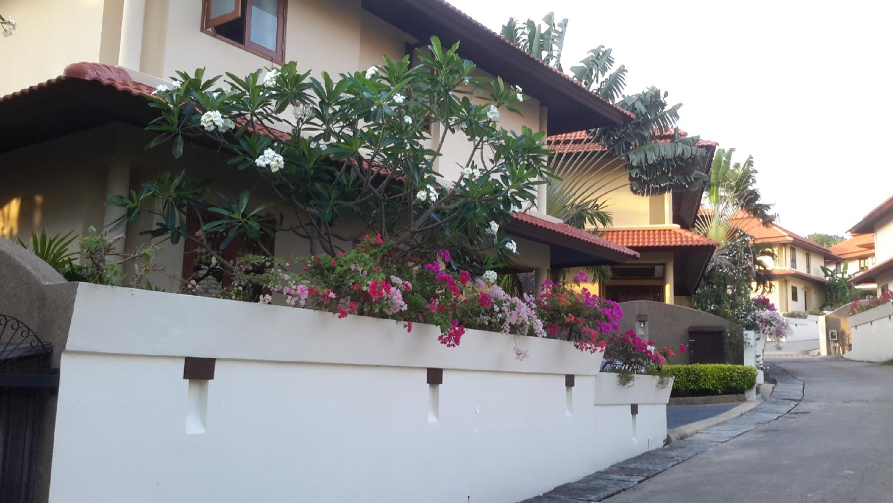 Three-Bedroom Villa photo 3