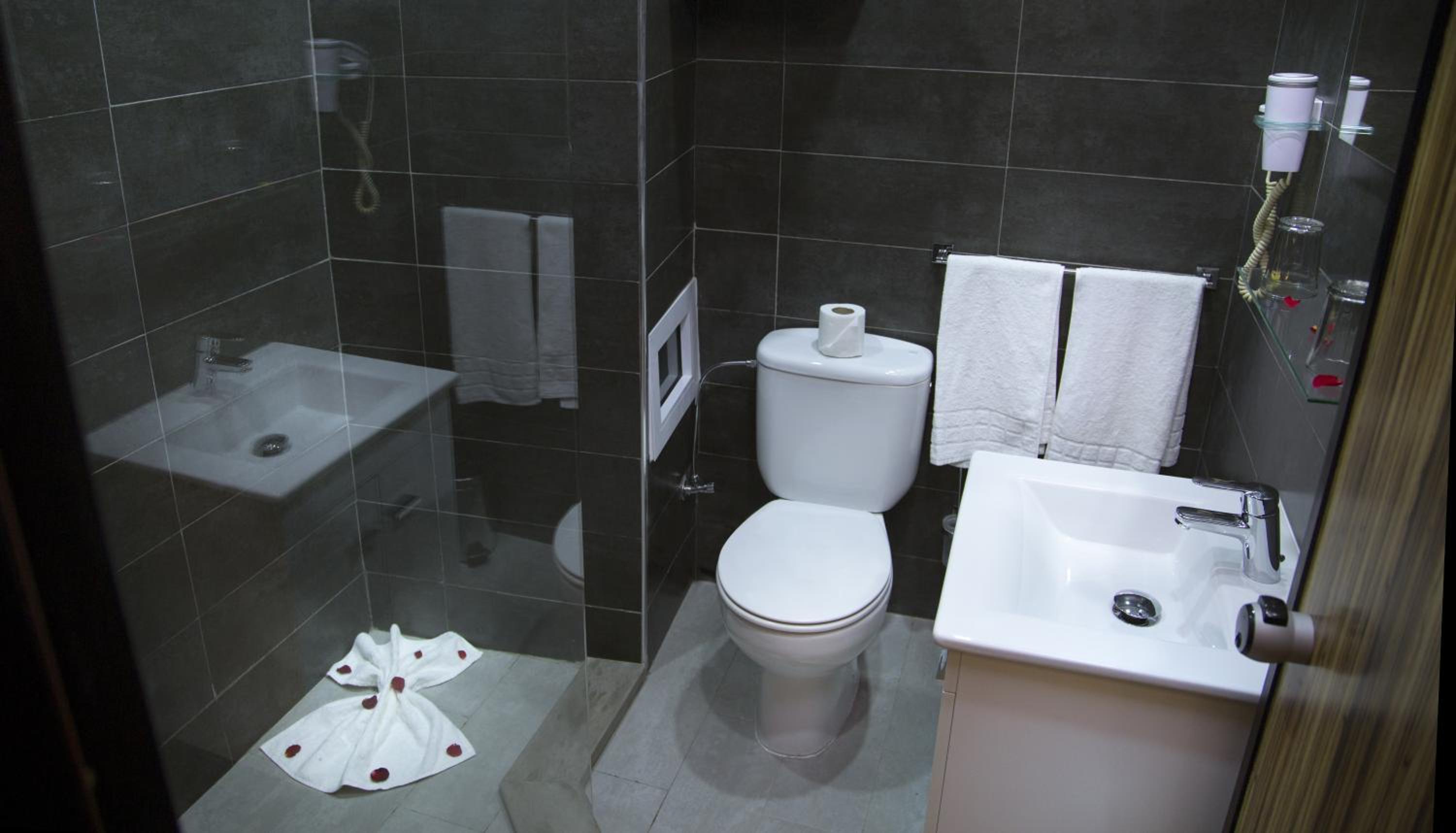 Double or Twin Room photo 3