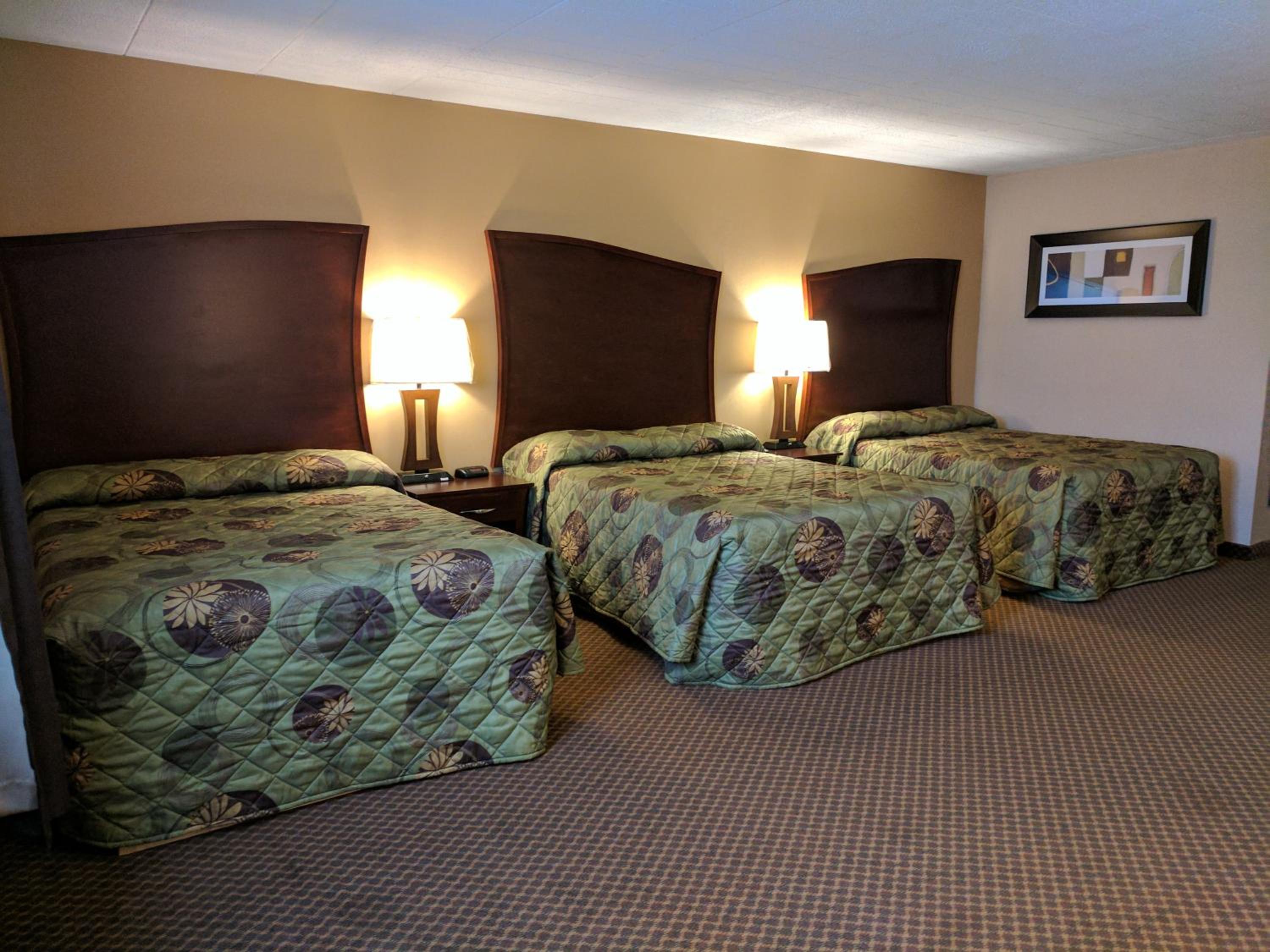 Family Room - Photo 7