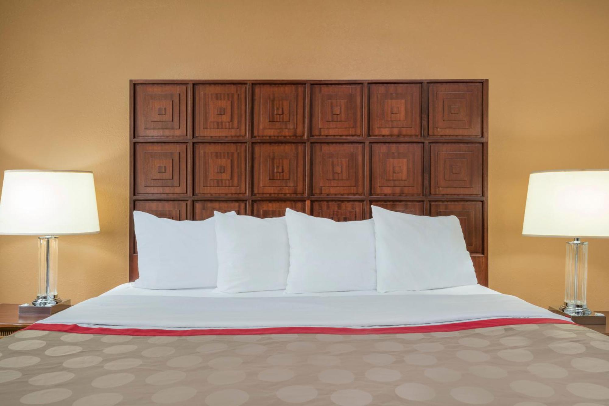 King Studio Suite with Jetted Tub - Non-Smoking - Photo 1