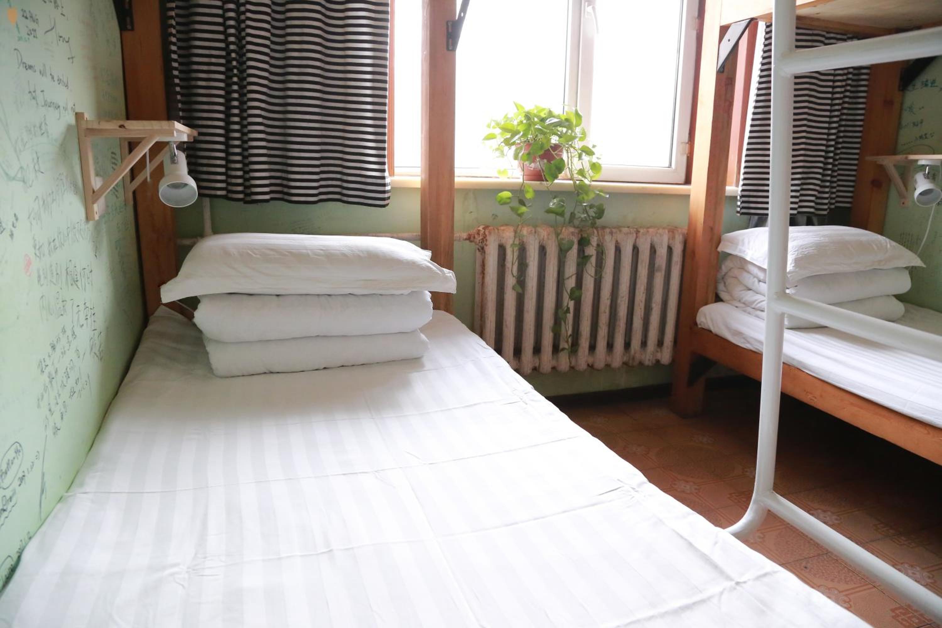 Single Bed in 6-Bed Dormitory Room photo 3