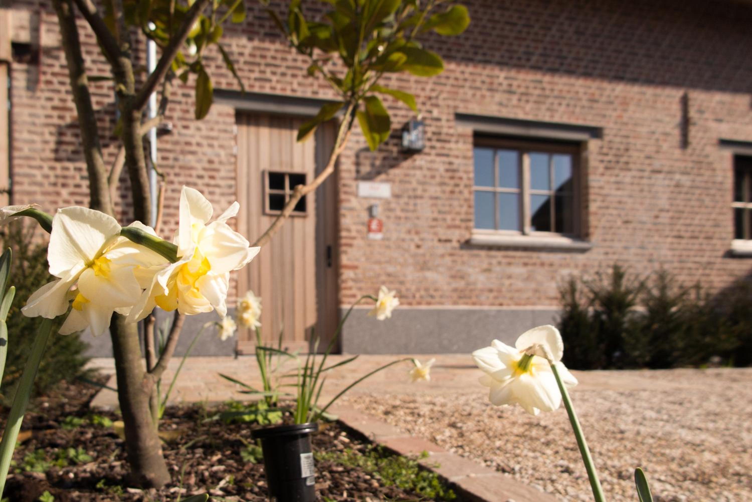 Holiday Home (4 Adults) photo 3