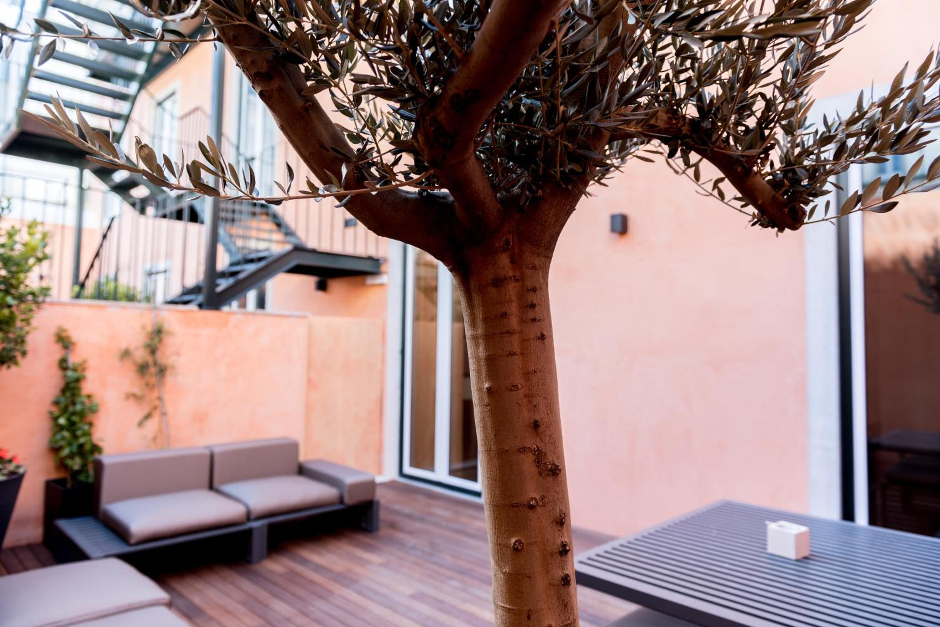 One-Bedroom Apartment with Terrace photo 2