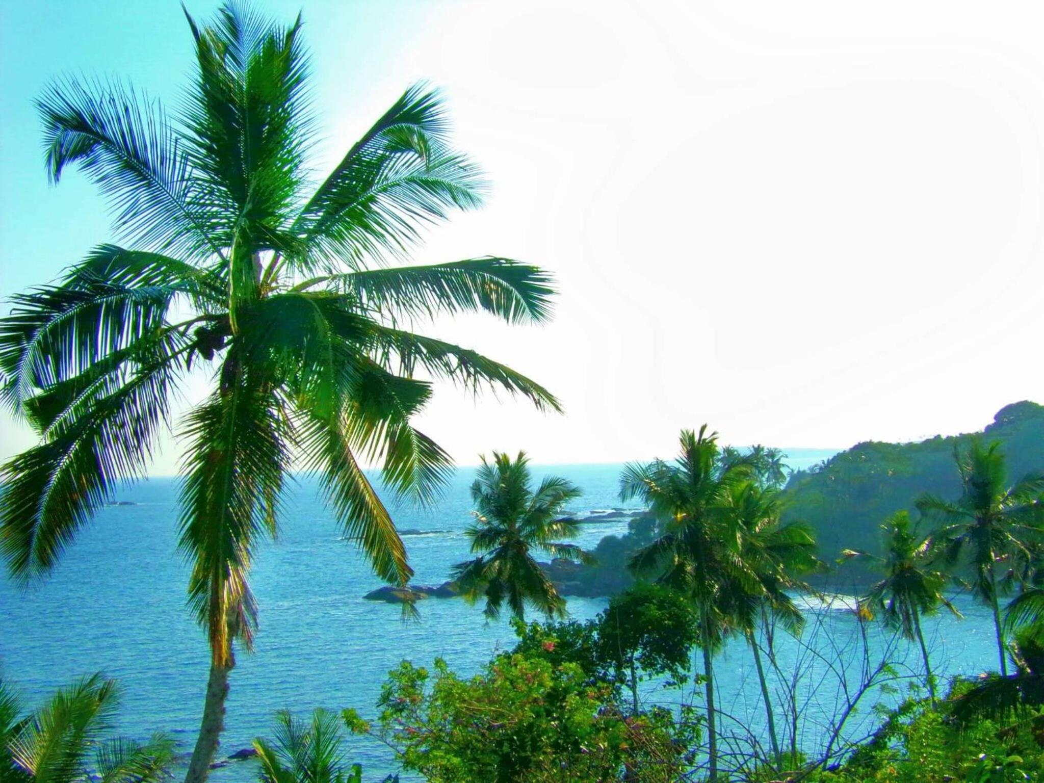 Double Room with Balcony and Sea View