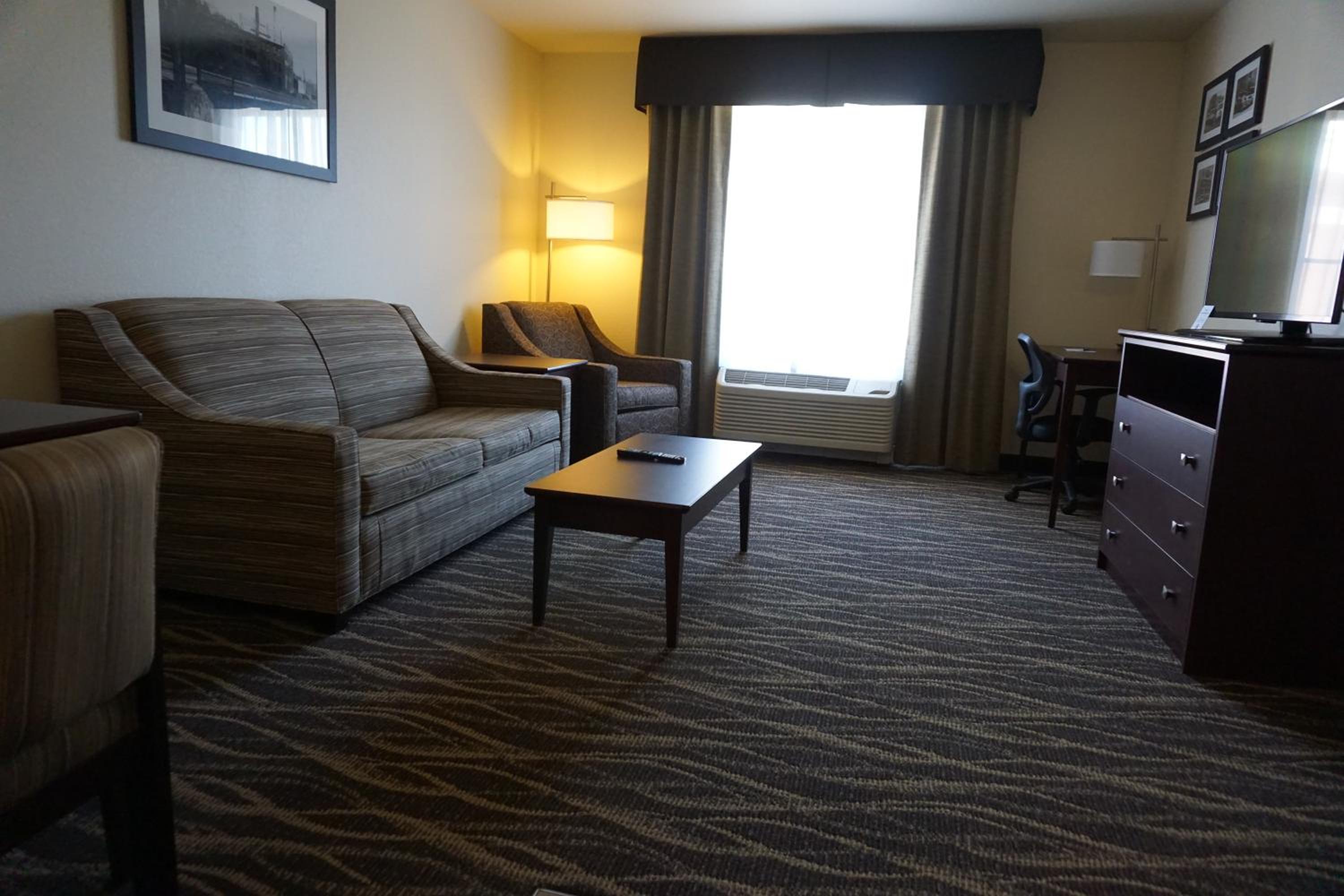 One-Bedroom Suite photo 3