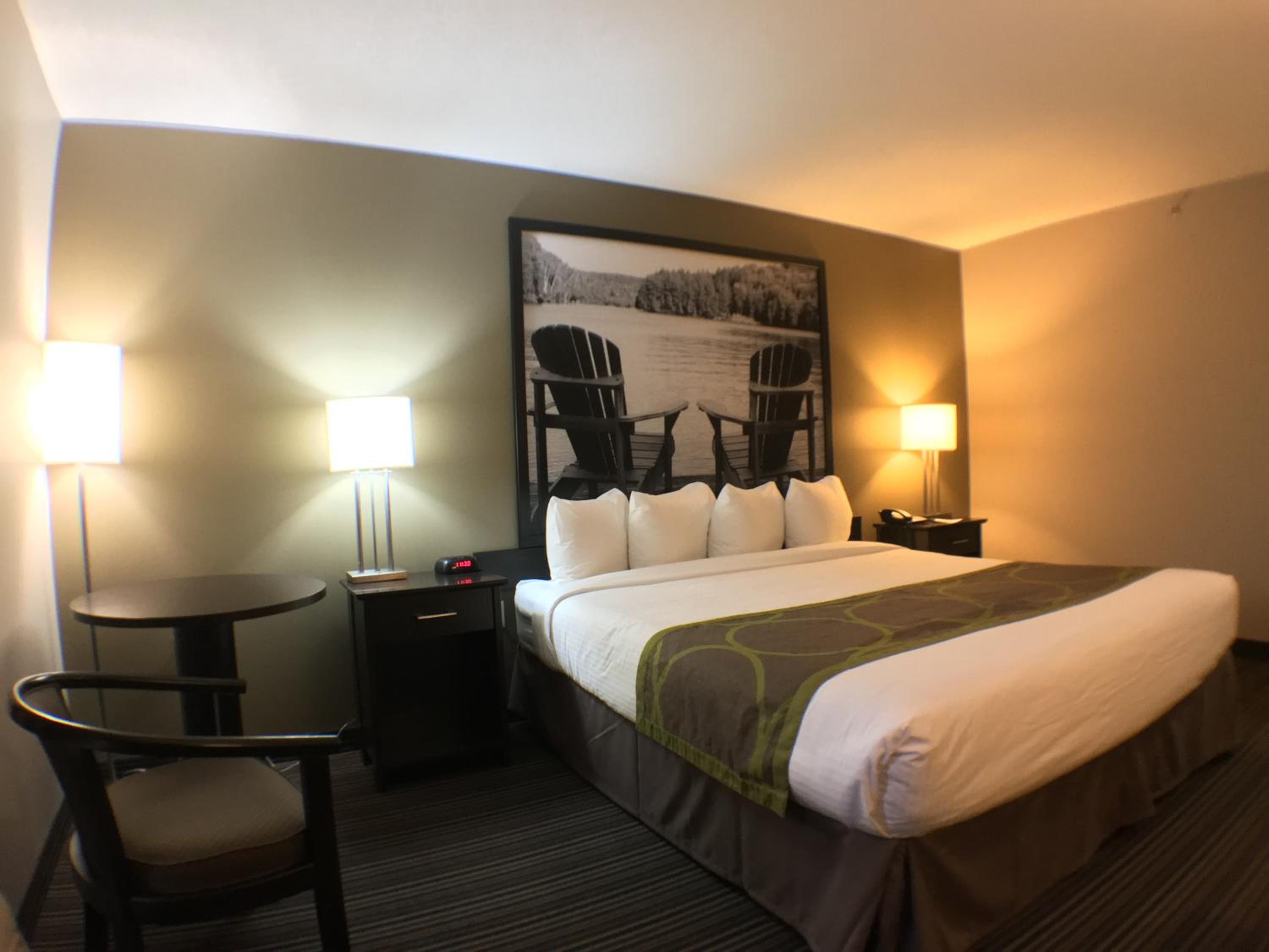 King Room - Non-Smoking - Photo 1